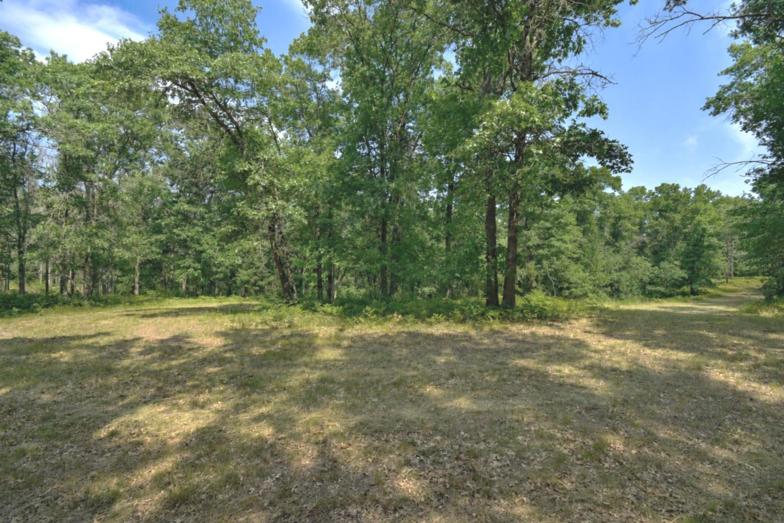 Lot 5 South Point Trail Property Photo 17