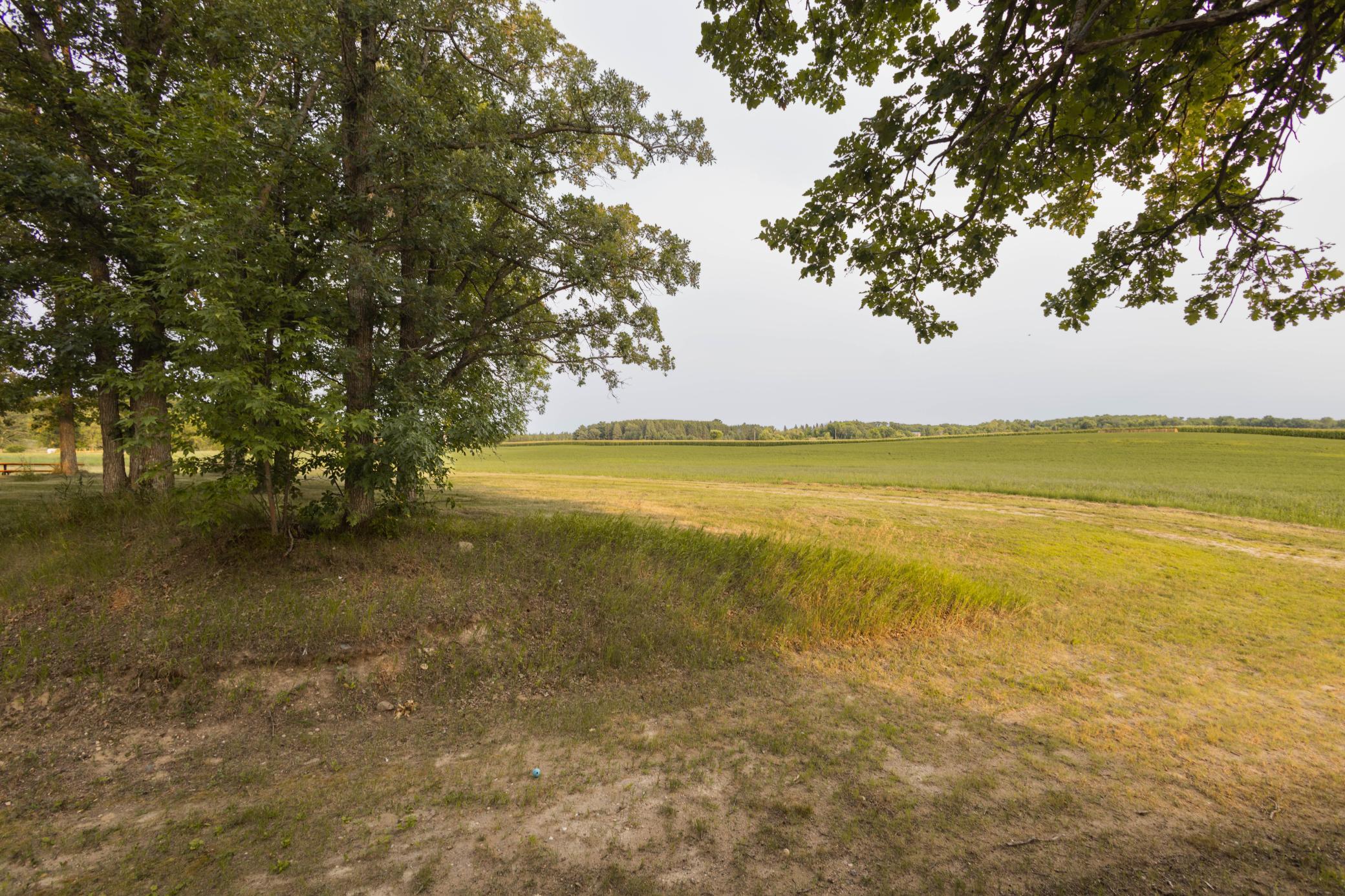 17231 330th Avenue Property Photo 47