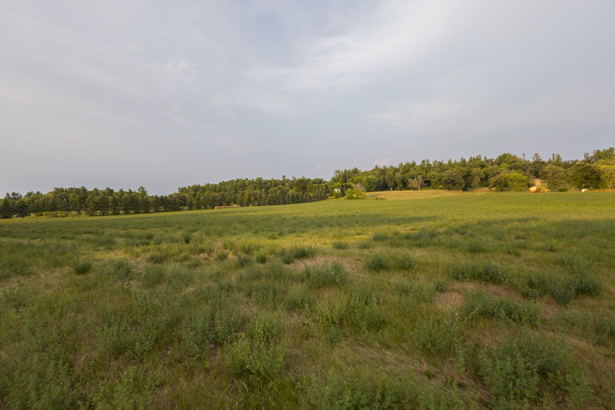 17231 330th Avenue Property Photo 52