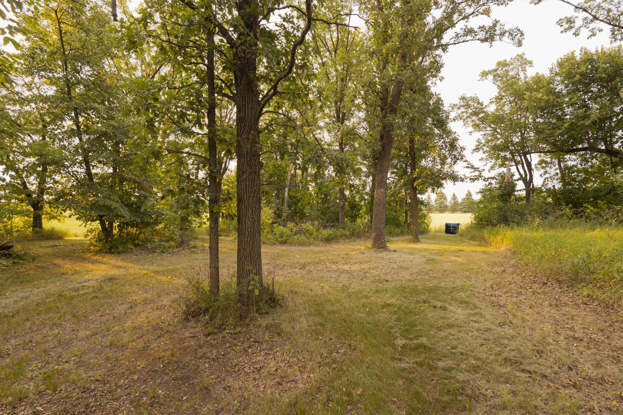 17231 330th Avenue Property Photo 53