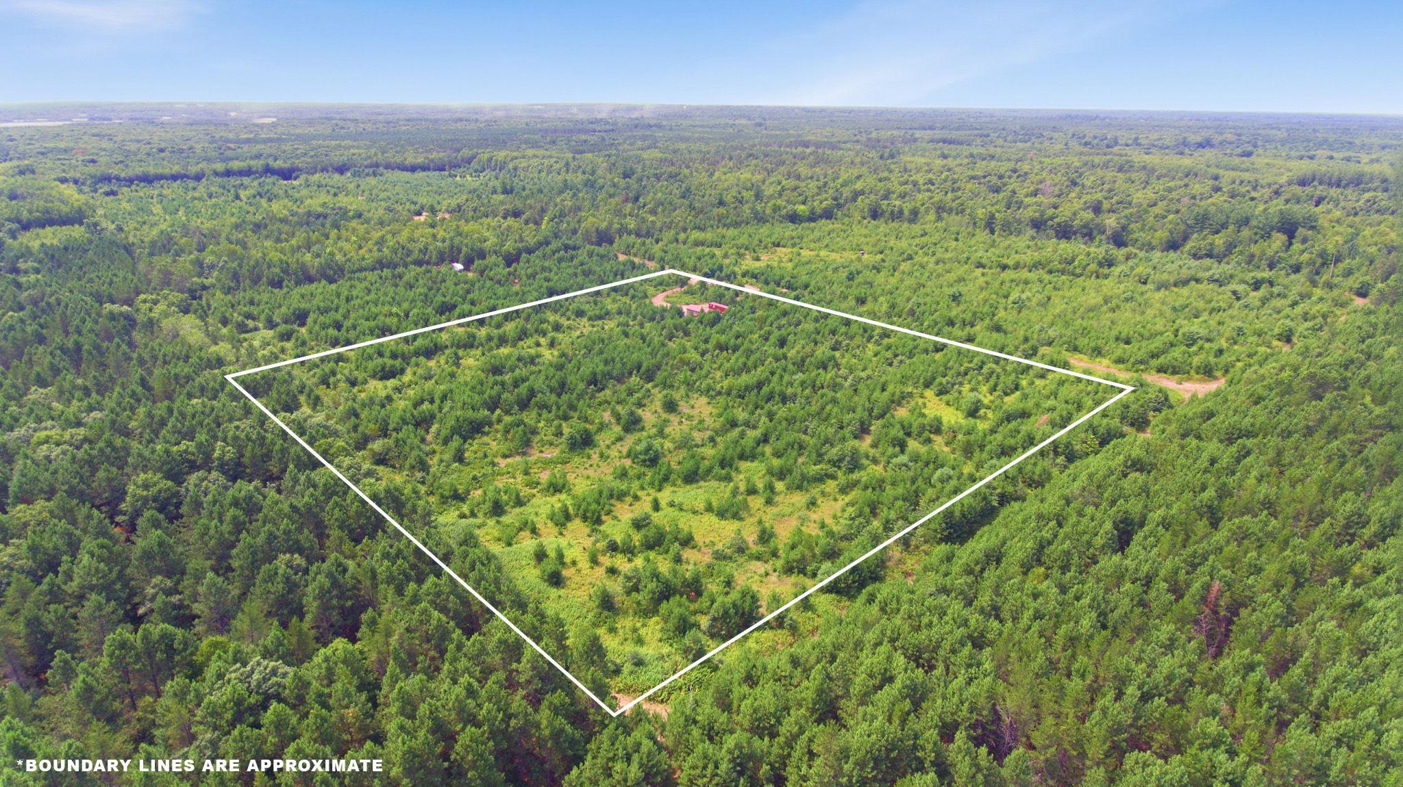 26162 Ashtons Trail Property Photo 2