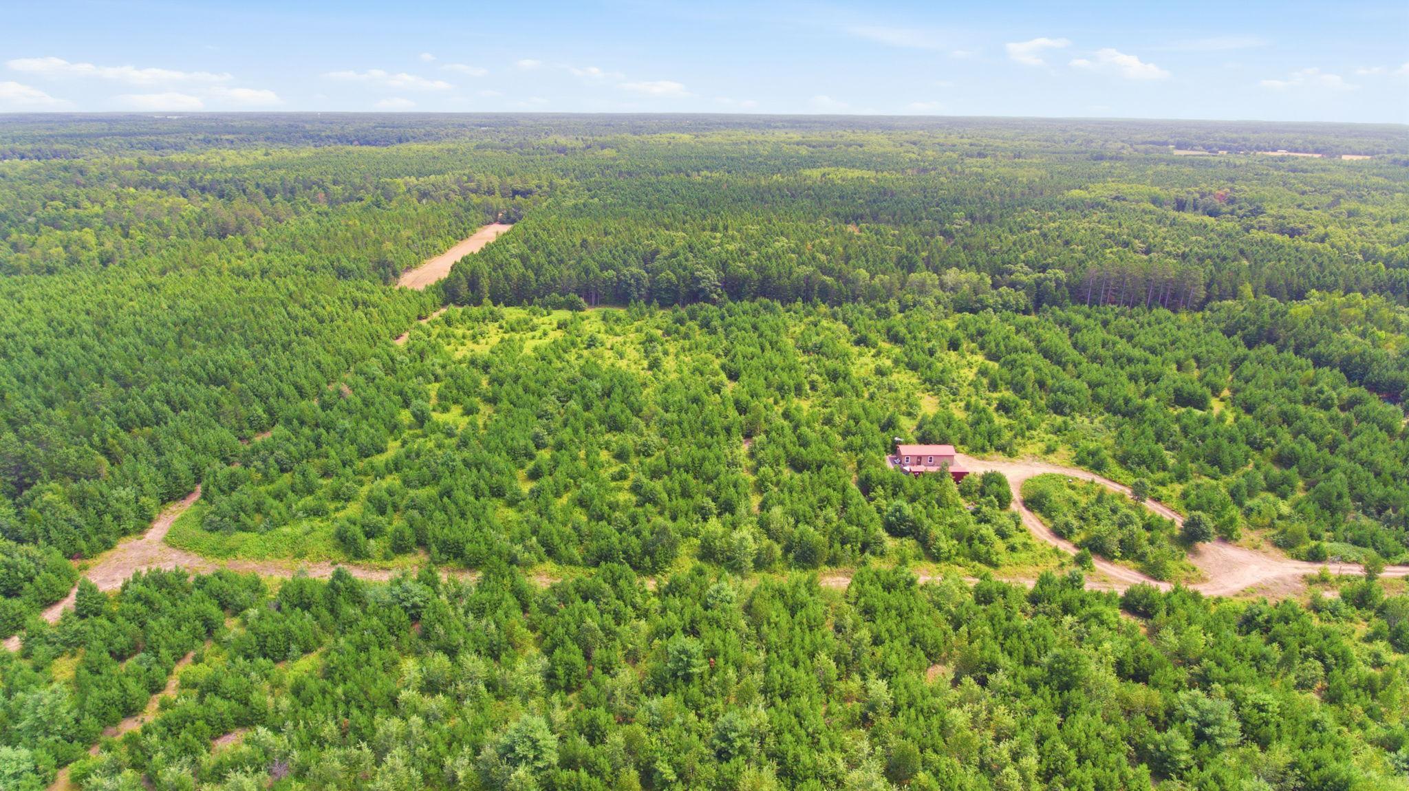 26162 Ashtons Trail Property Photo 31