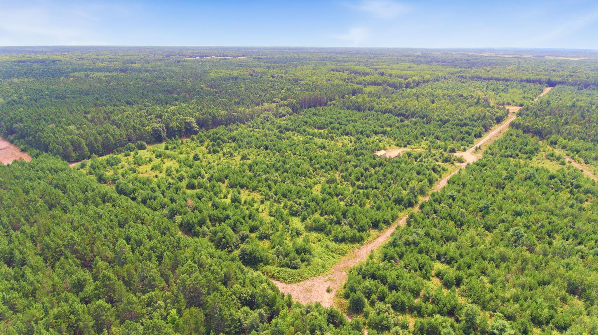 26162 Ashtons Trail Property Photo 32