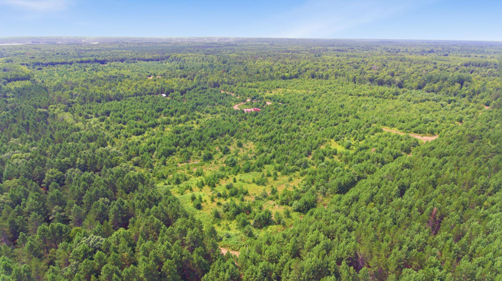 26162 Ashtons Trail Property Photo 33