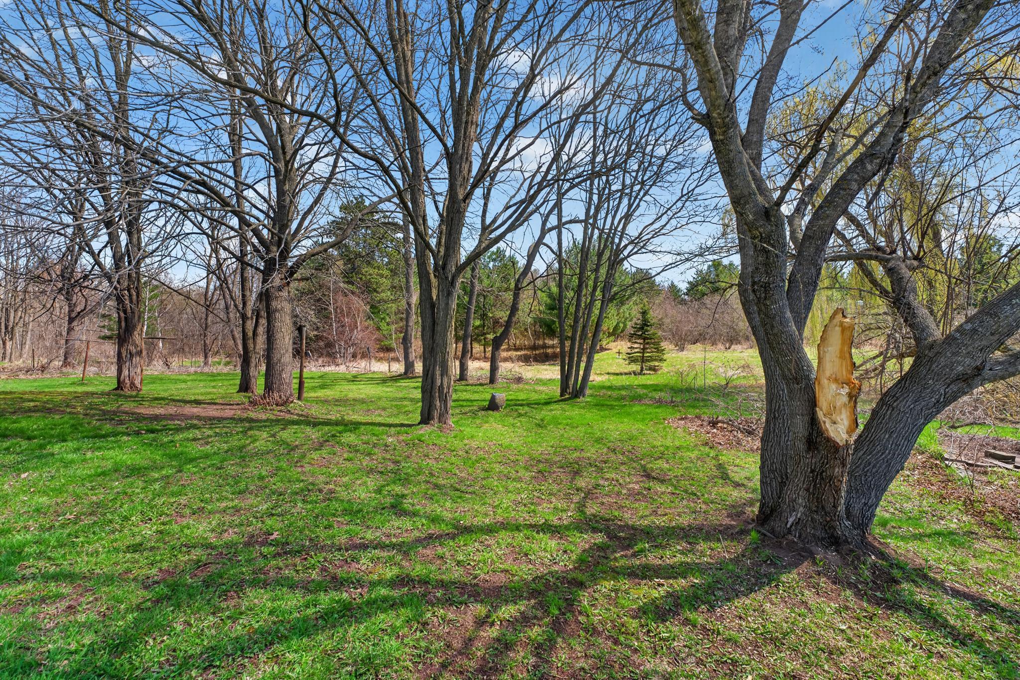 29224 Hawk Nest Lane Property Photo 6