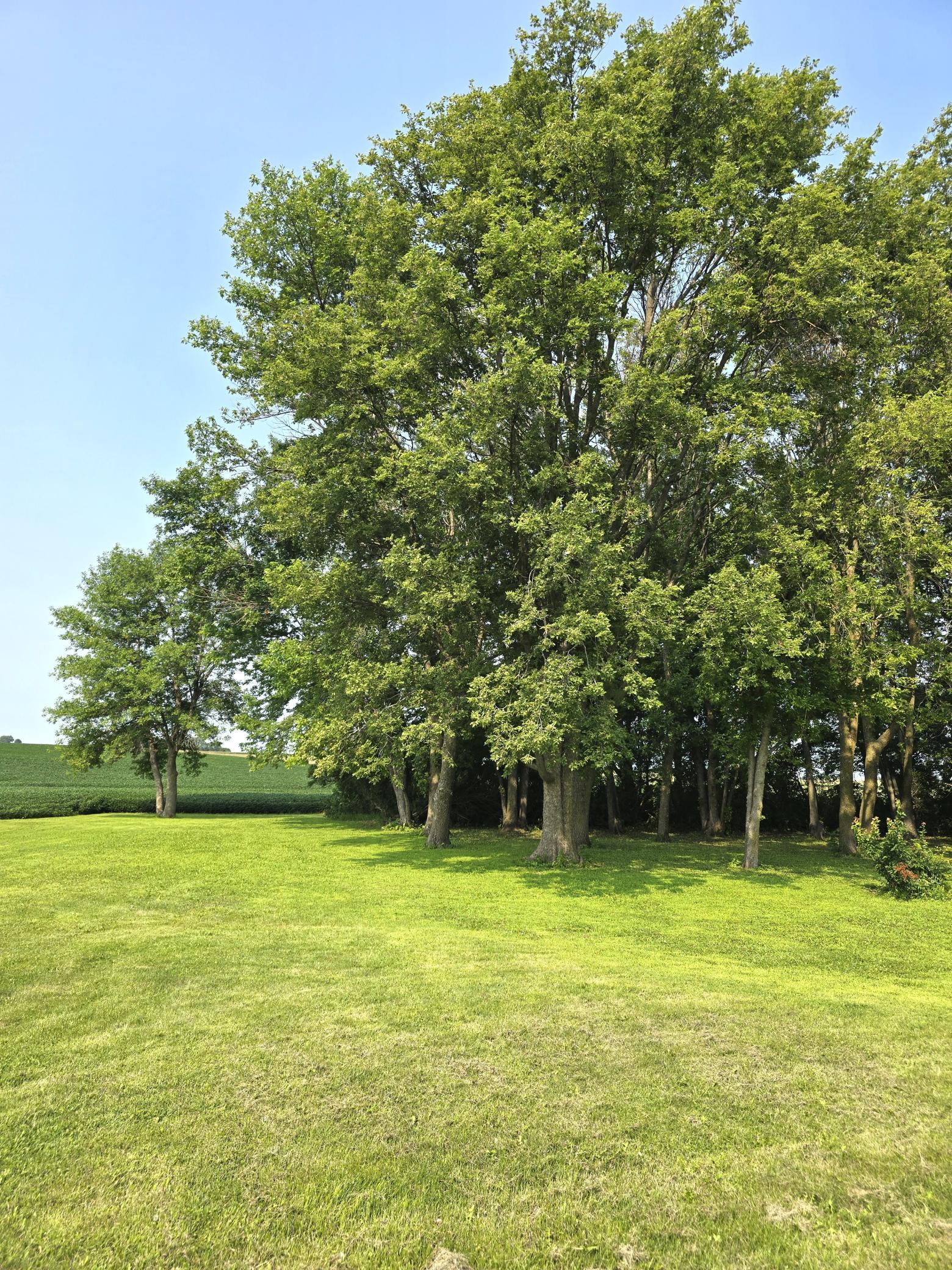 60247 State Highway 19 Property Photo 72