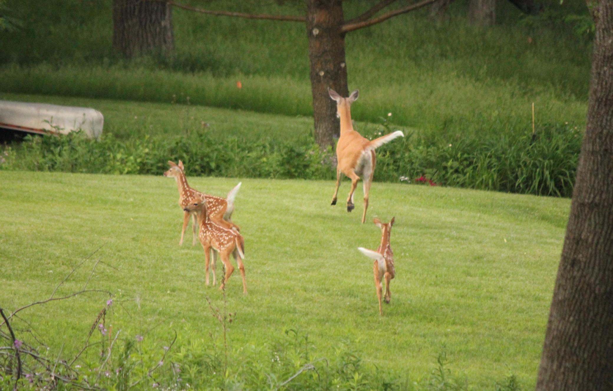 4900 Killarney Drive Property Photo 46
