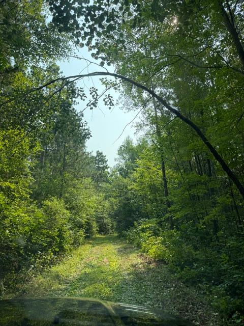 7125282 Property Photo 12