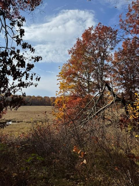 7125282 Property Photo 16