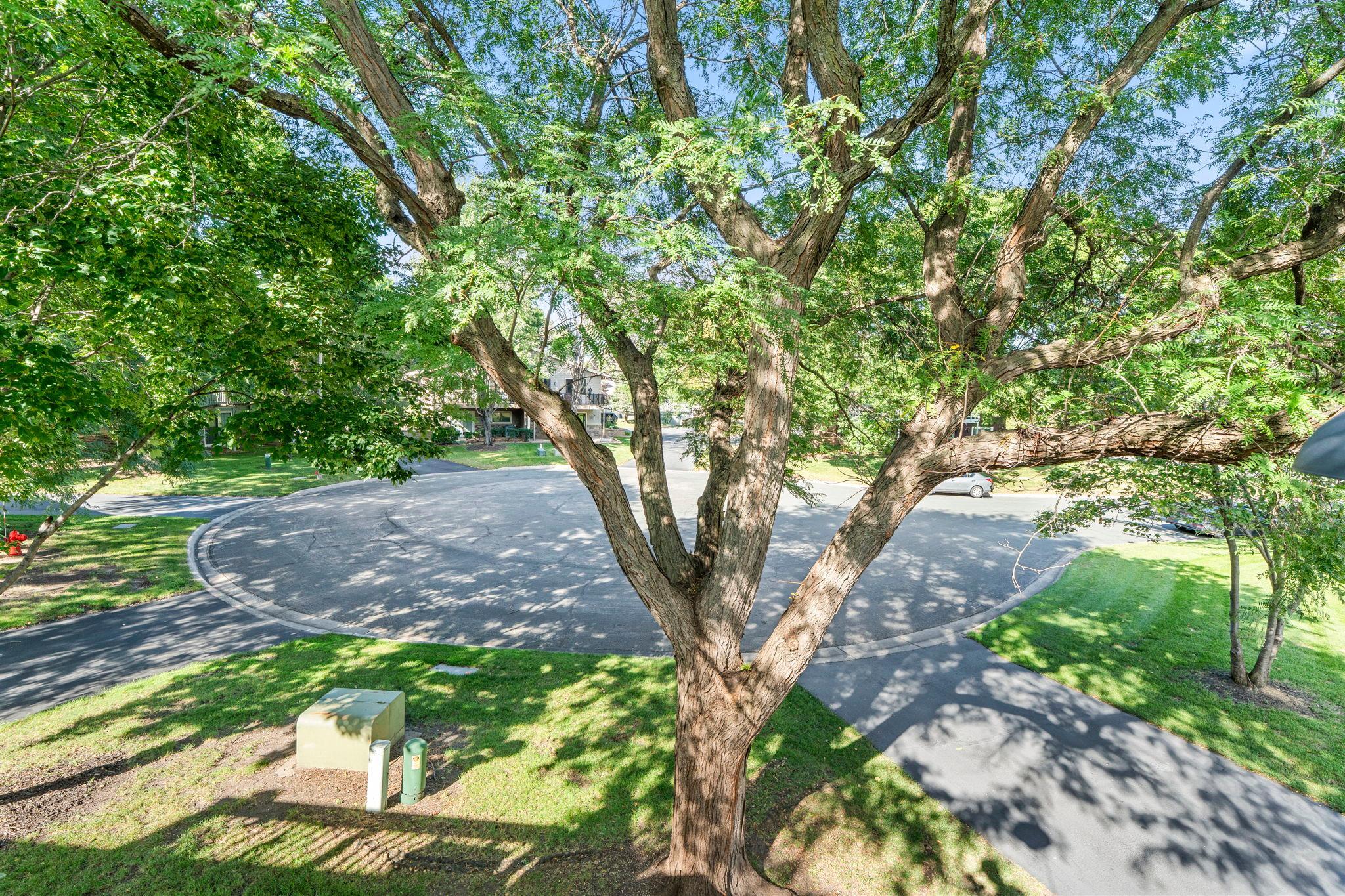 11236 Vessey Circle Property Photo 37