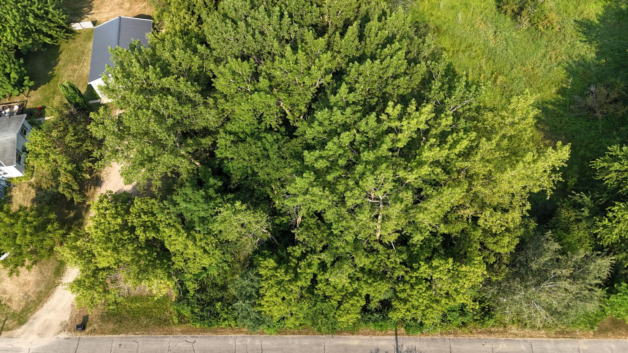 17805 Rivercrest Road Property Photo 10