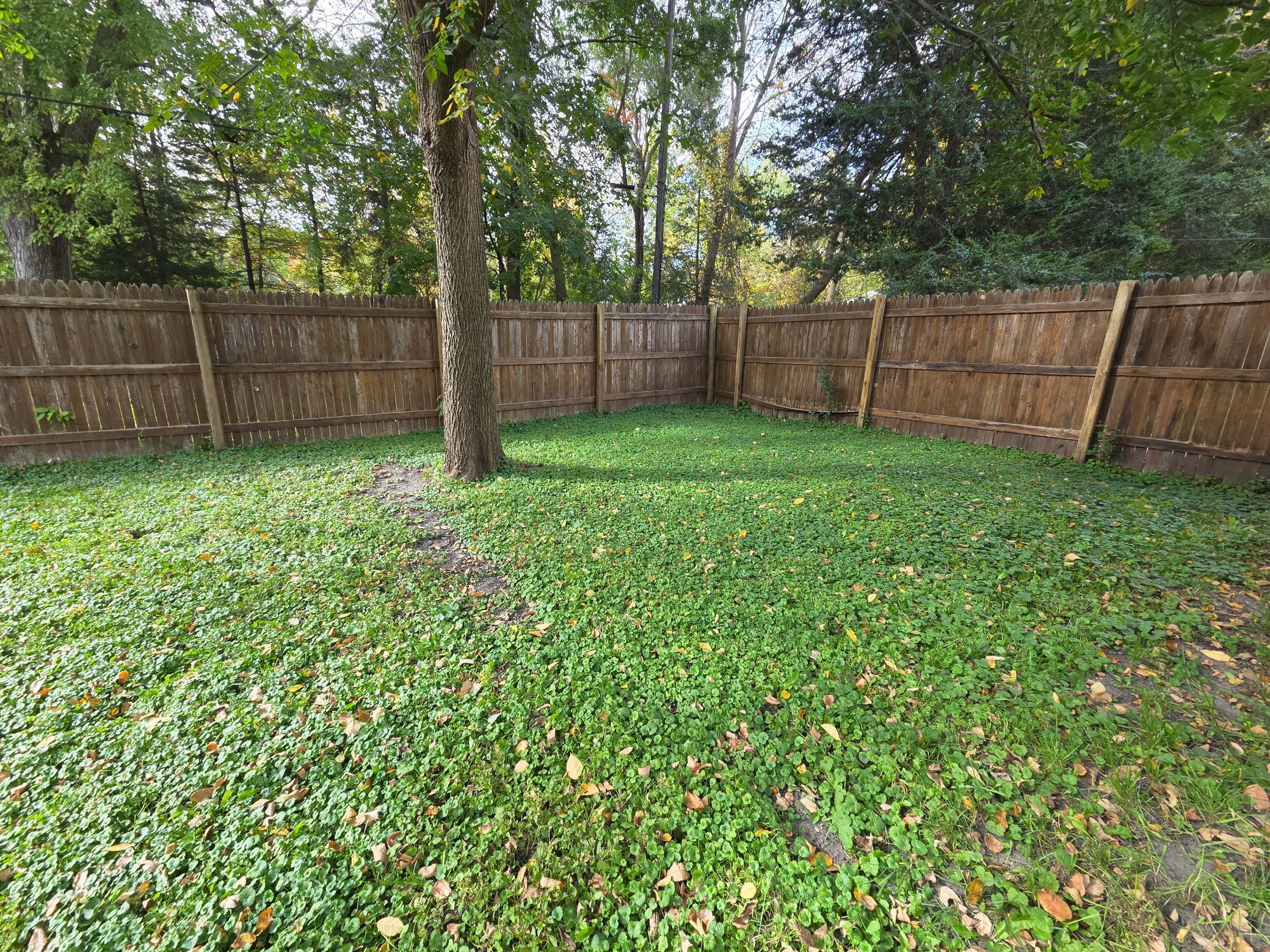 813 Ulstad Avenue Property Photo 14