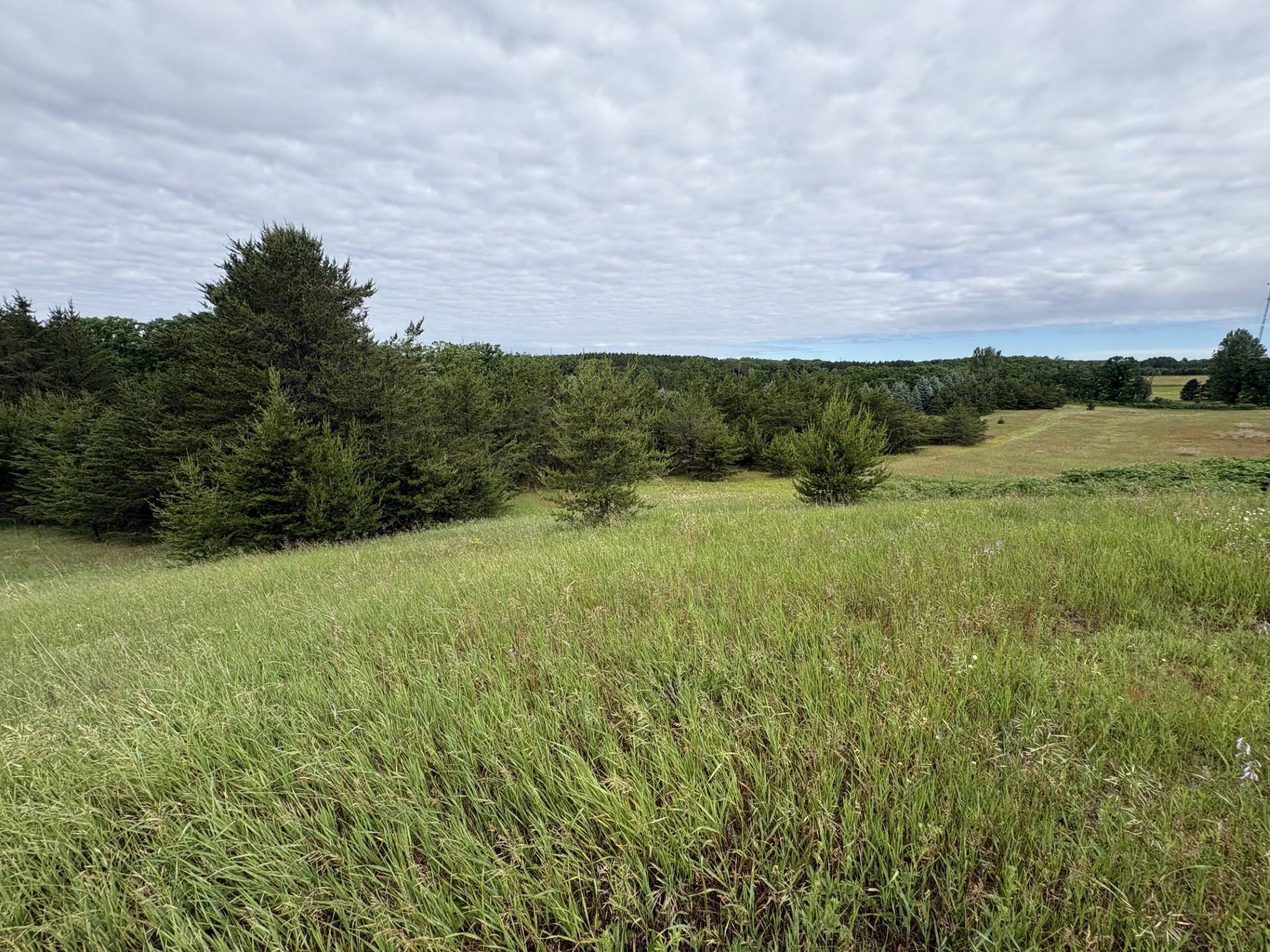 Tbd 155th Avenue Property Photo 1