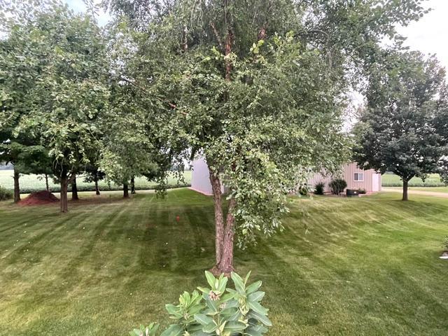 4614 215th Street E Property Photo 12