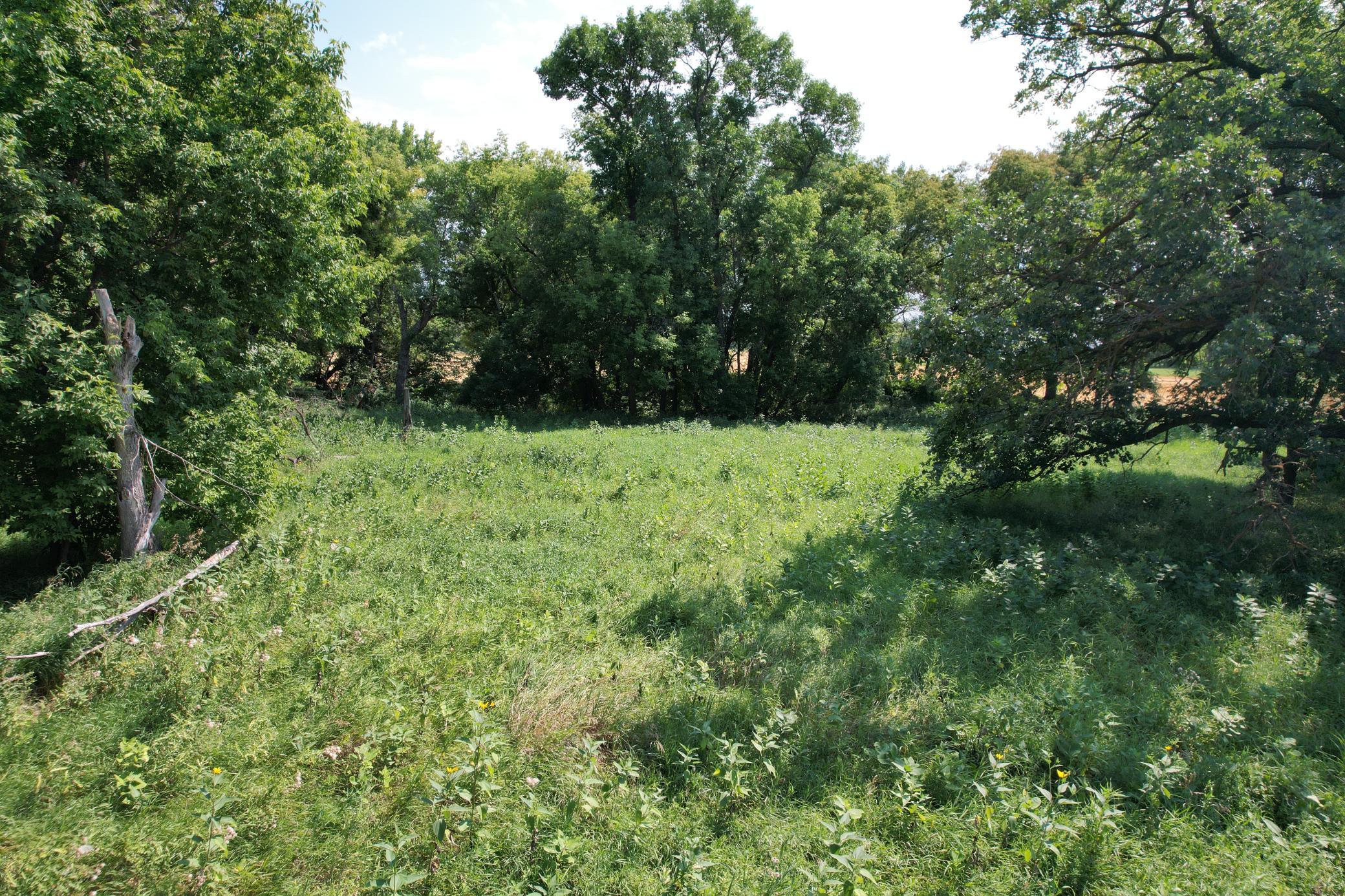 0 Rural Property Photo 9