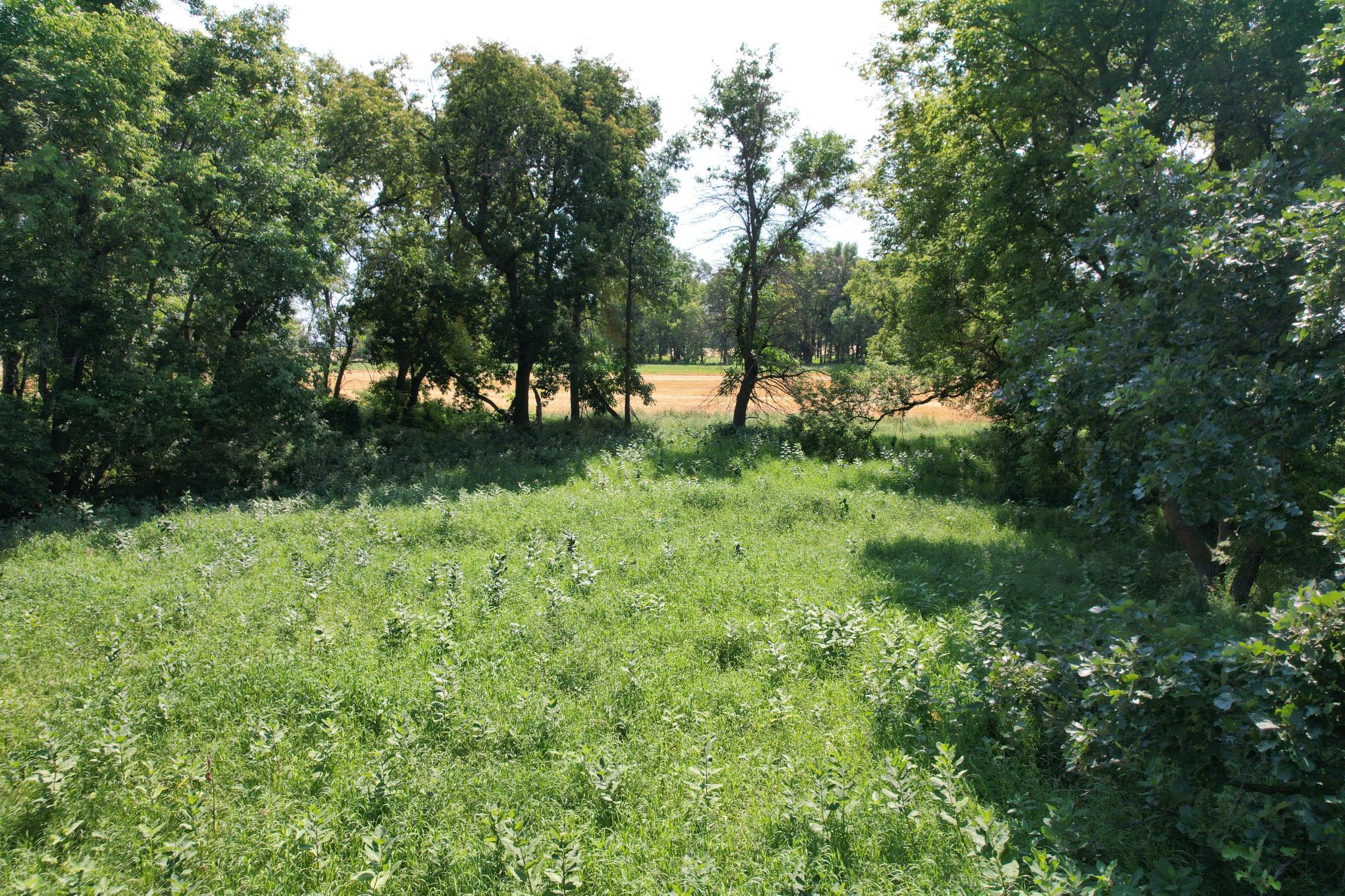 0 Rural Property Photo 10