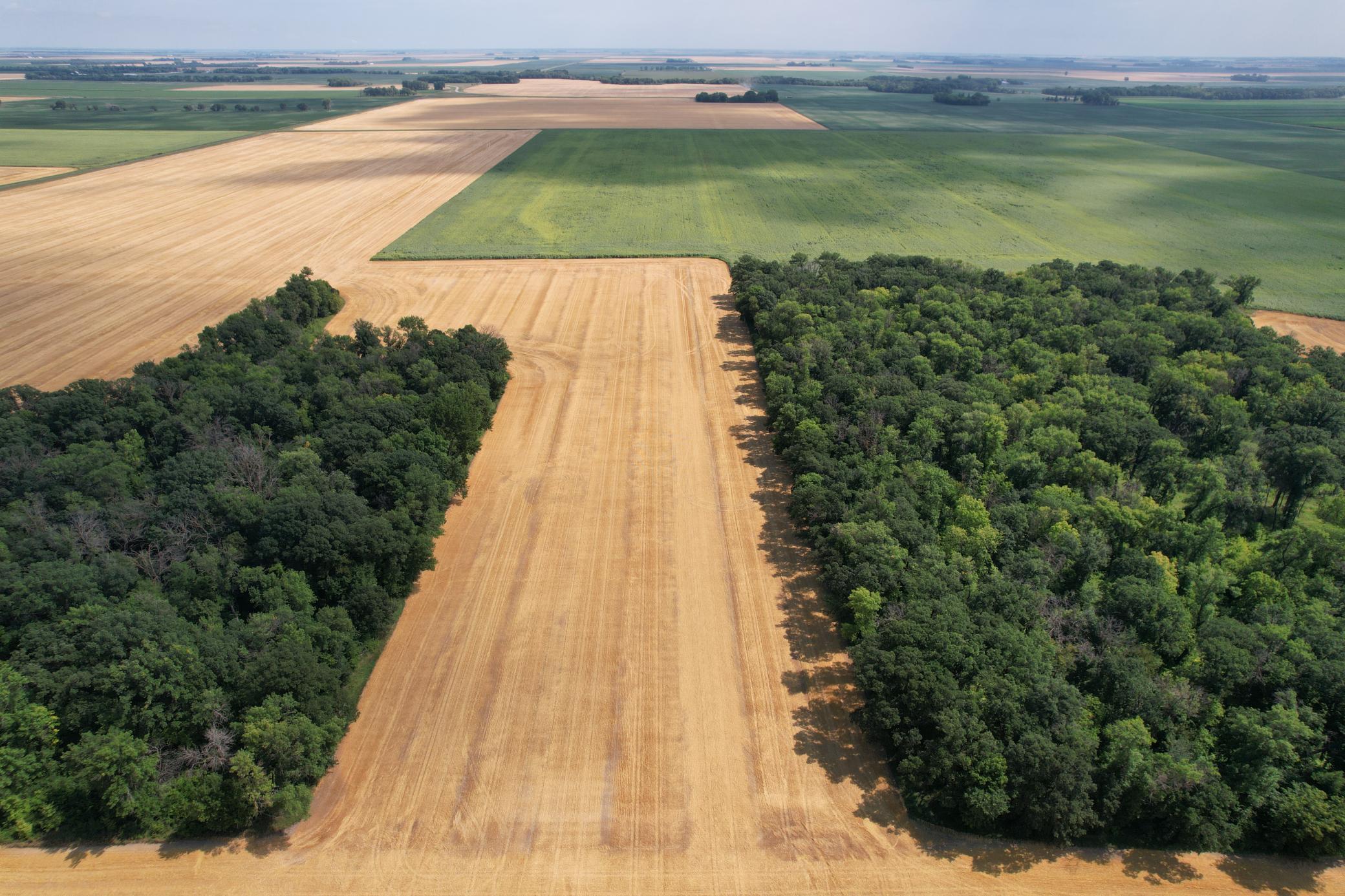 0 Rural Property Photo 11