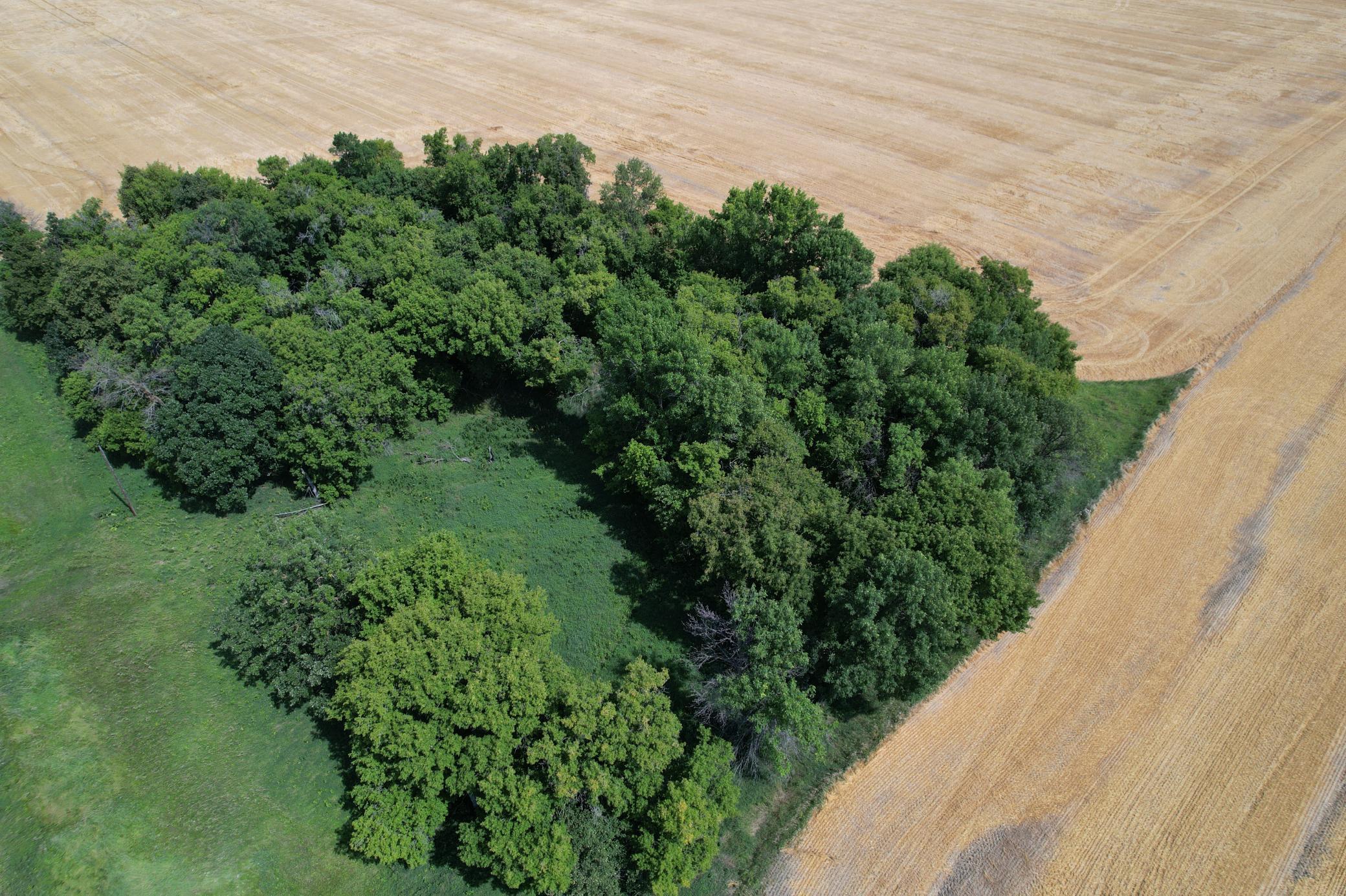 0 Rural Property Photo 12