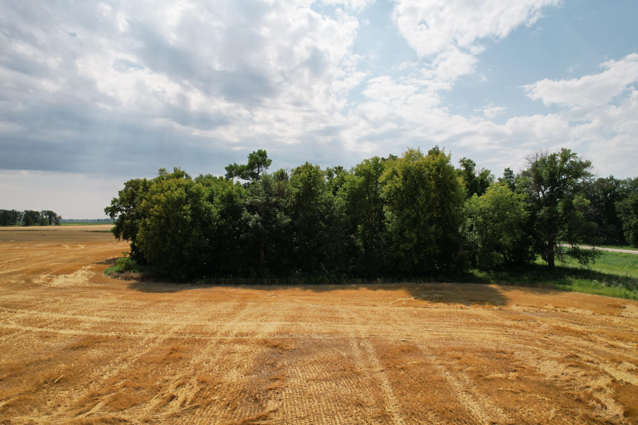 0 Rural Property Photo 13
