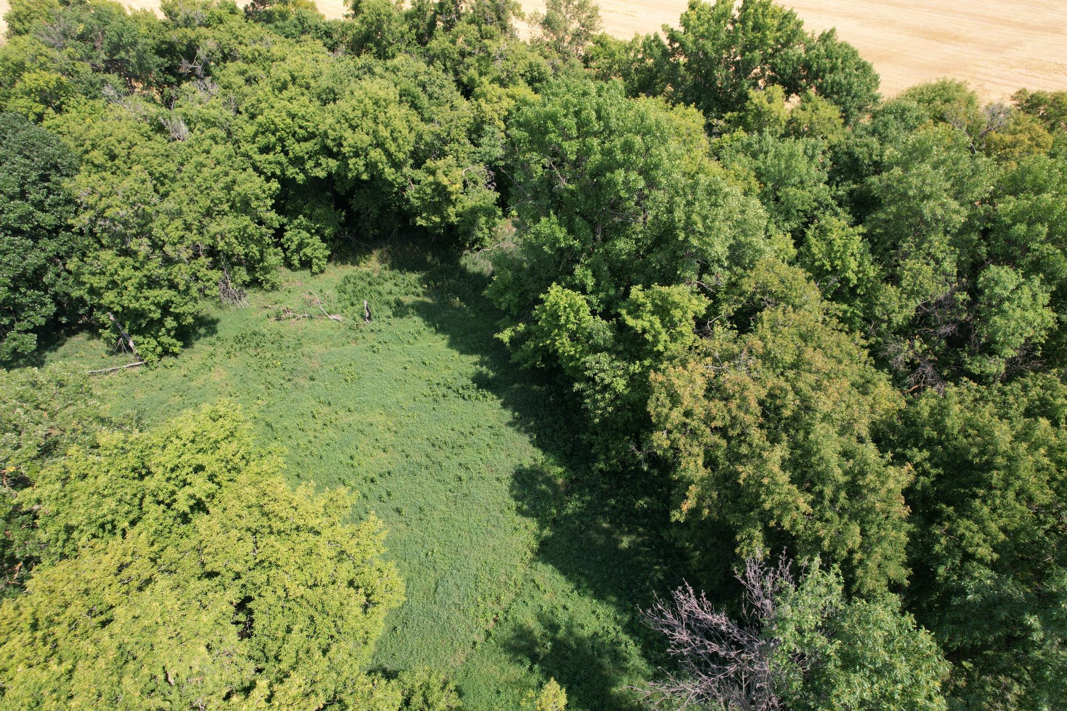 0 Rural Property Photo 14