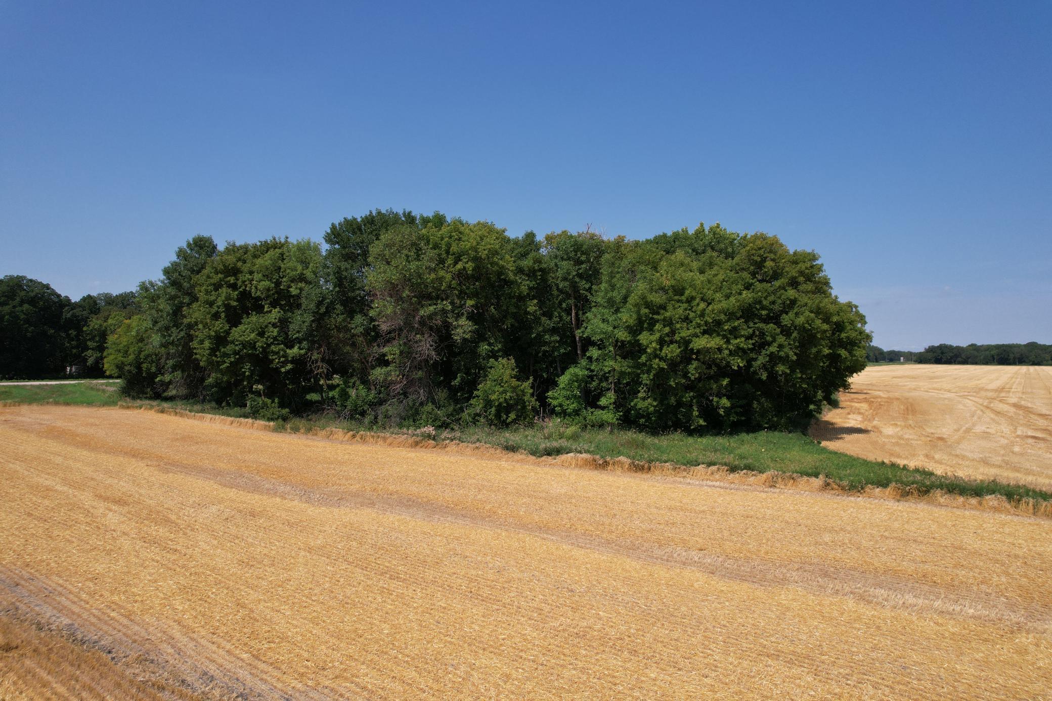 0 Rural Property Photo 15