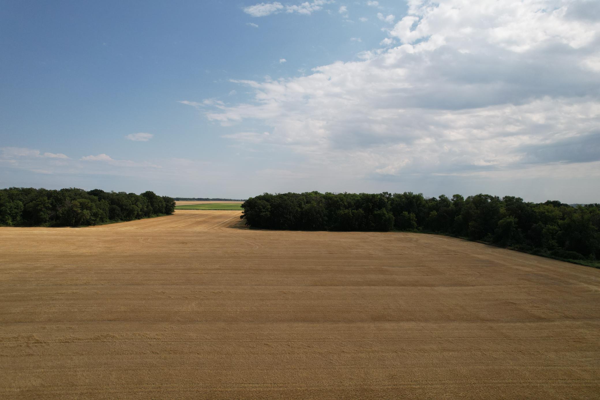 0 Rural Property Photo 17