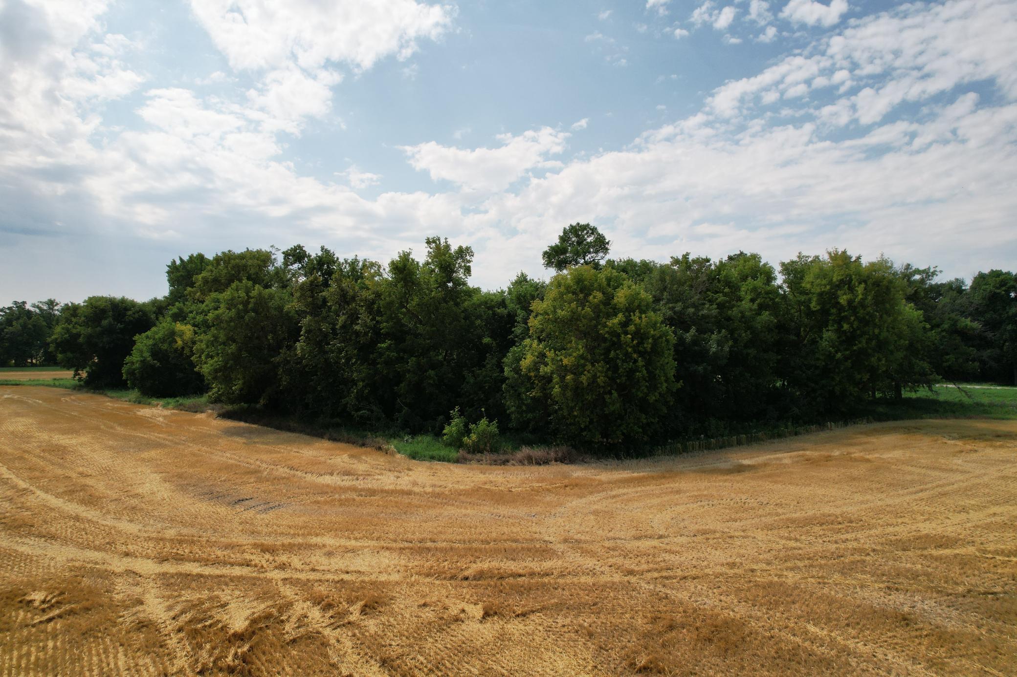 0 Rural Property Photo 20