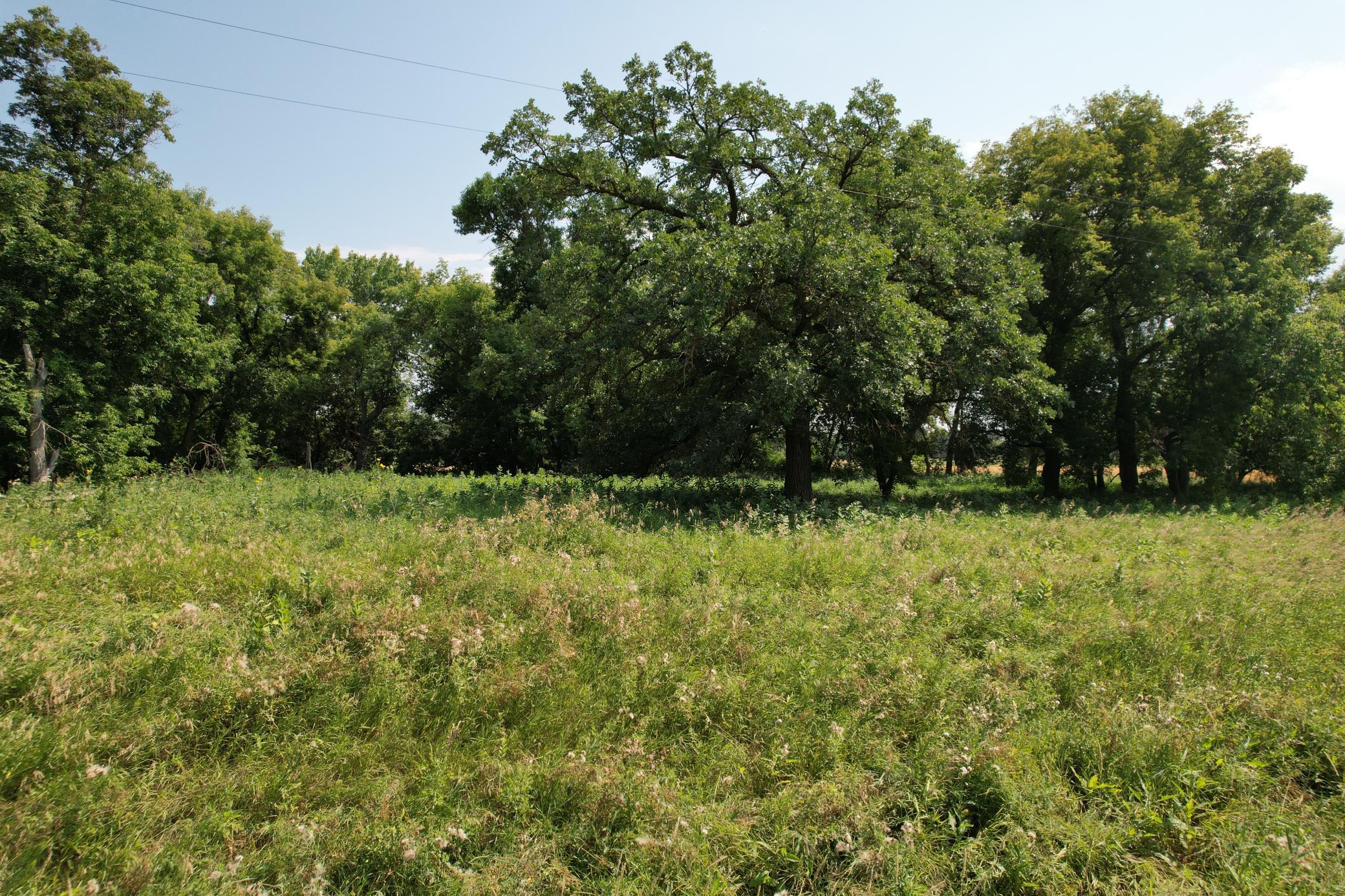 0 Rural Property Photo 22