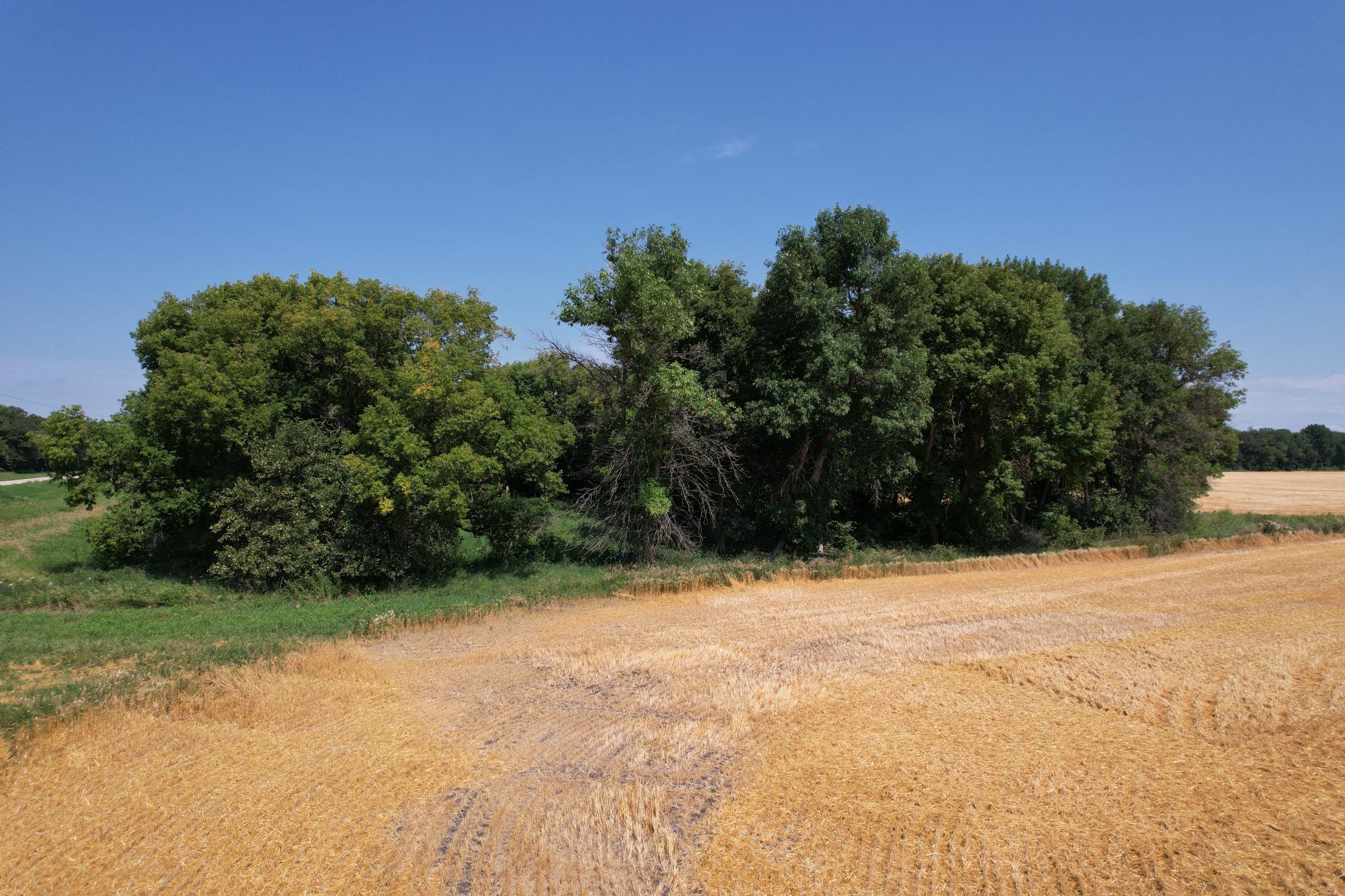 0 Rural Property Photo 25