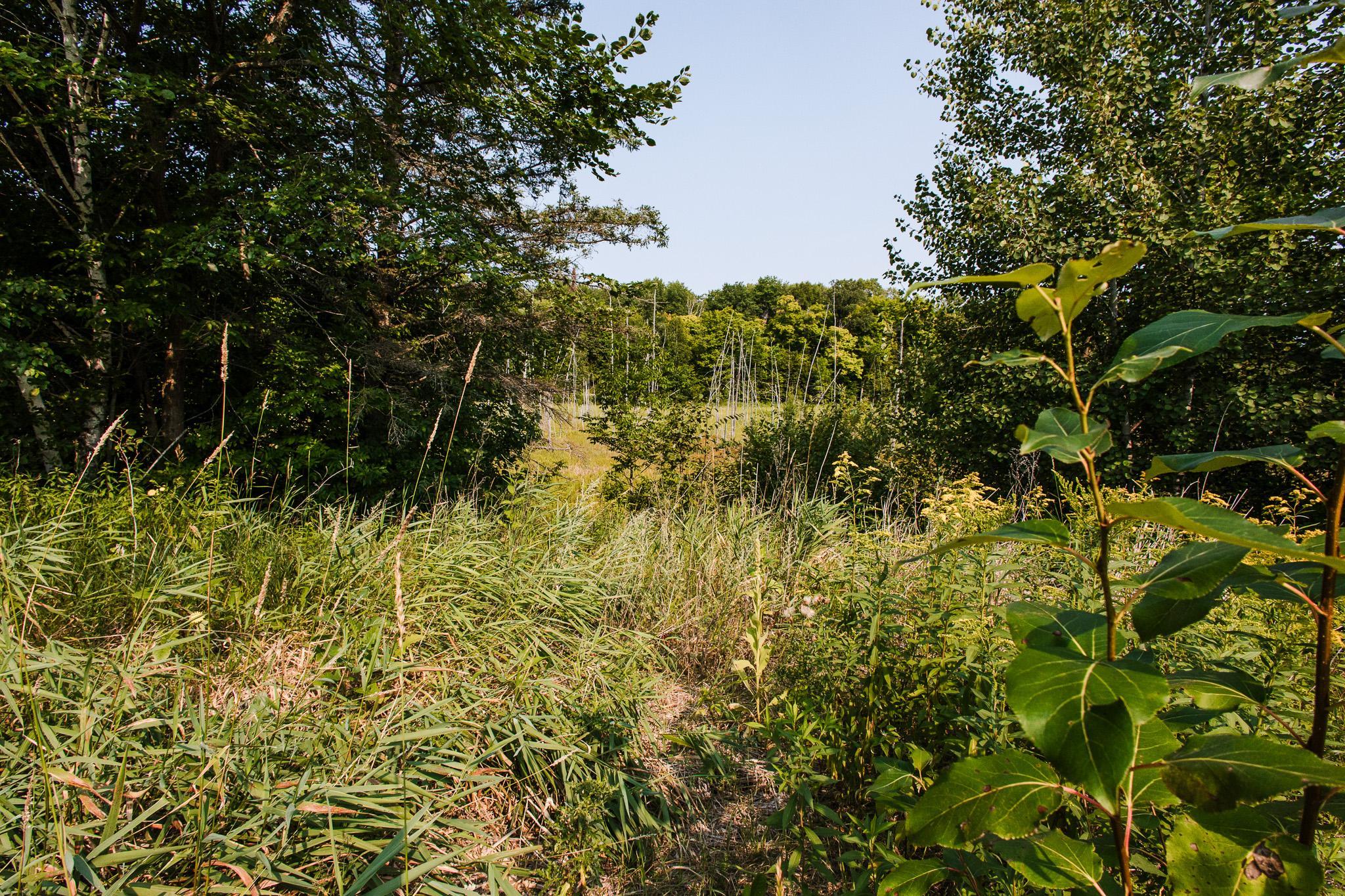 32812 County Highway 26 Property Photo 50