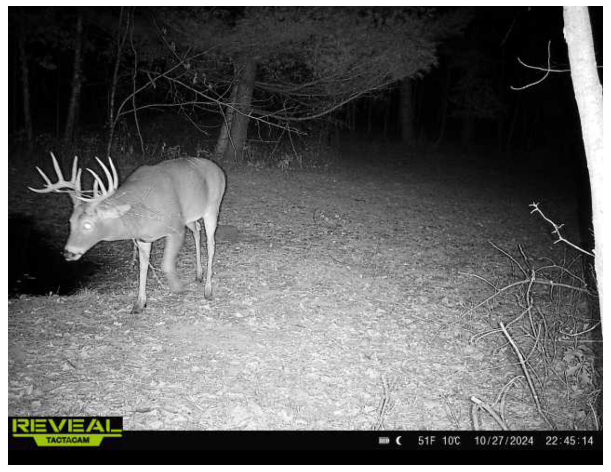 3089 320th Avenue Nw Property Photo 54