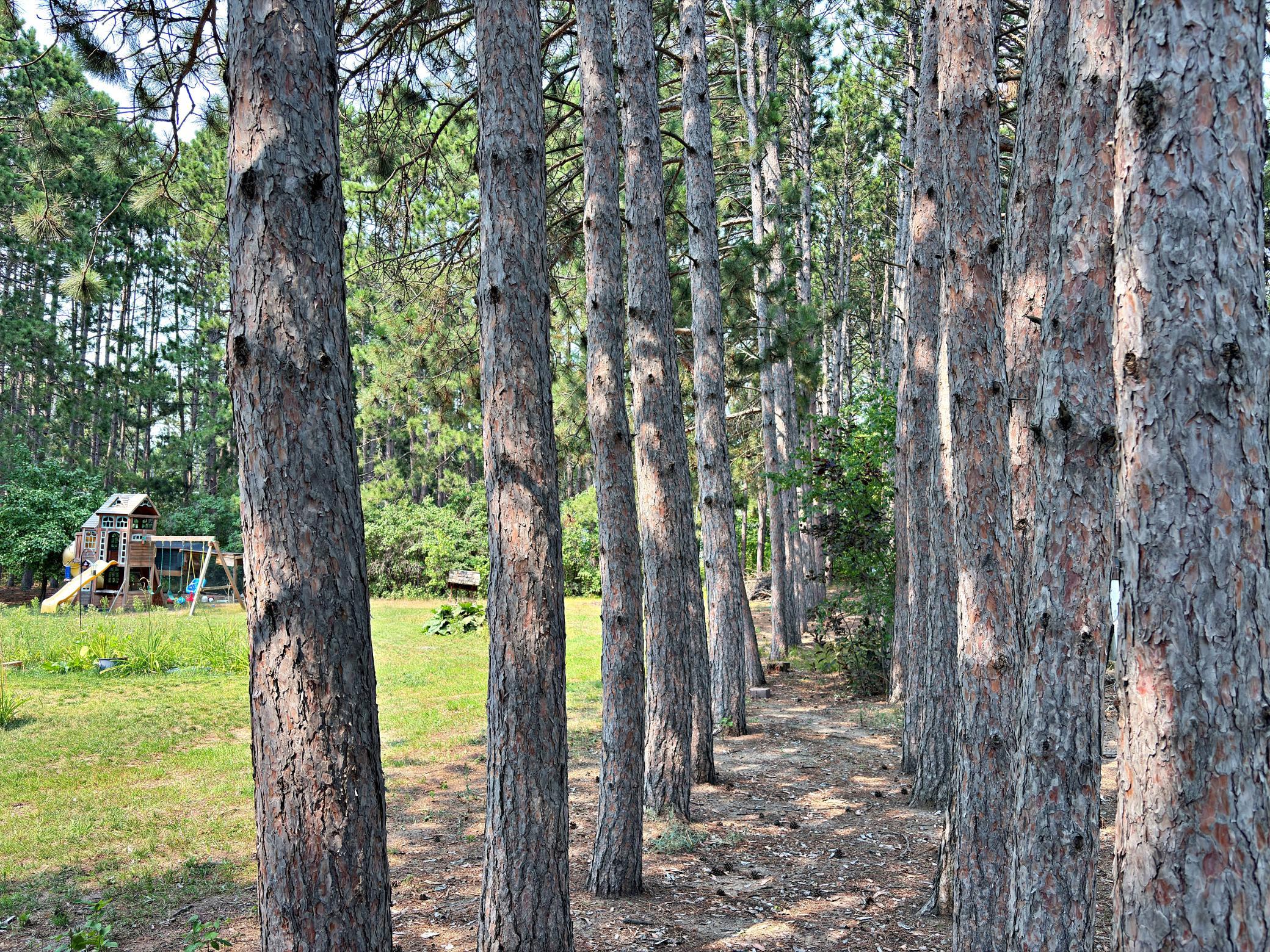 16023 Discovery Circle Property Photo 29