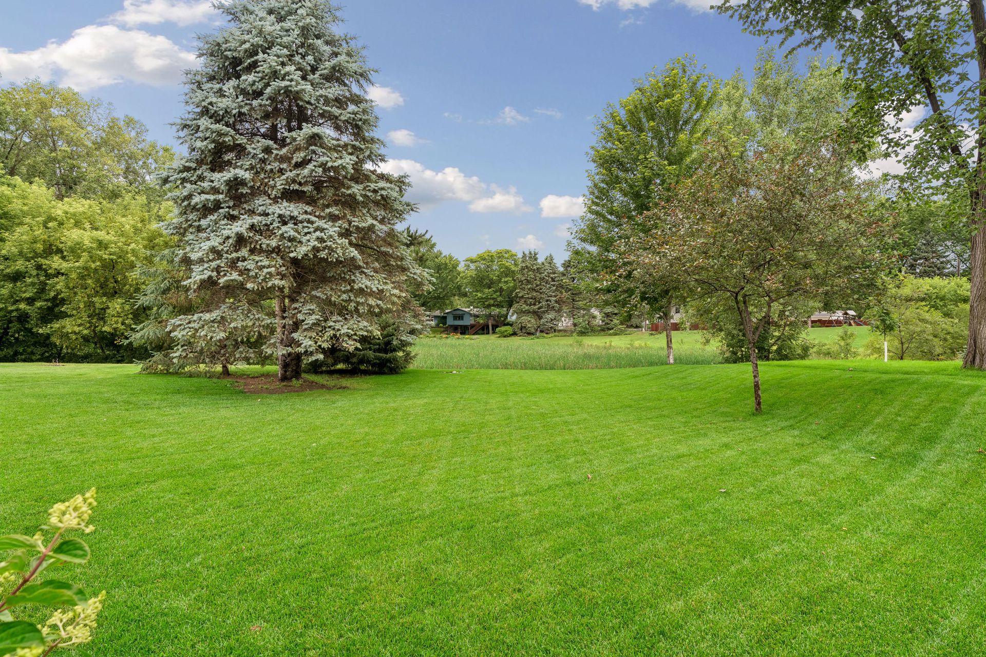 11233 Kentucky Avenue N Property Photo 27