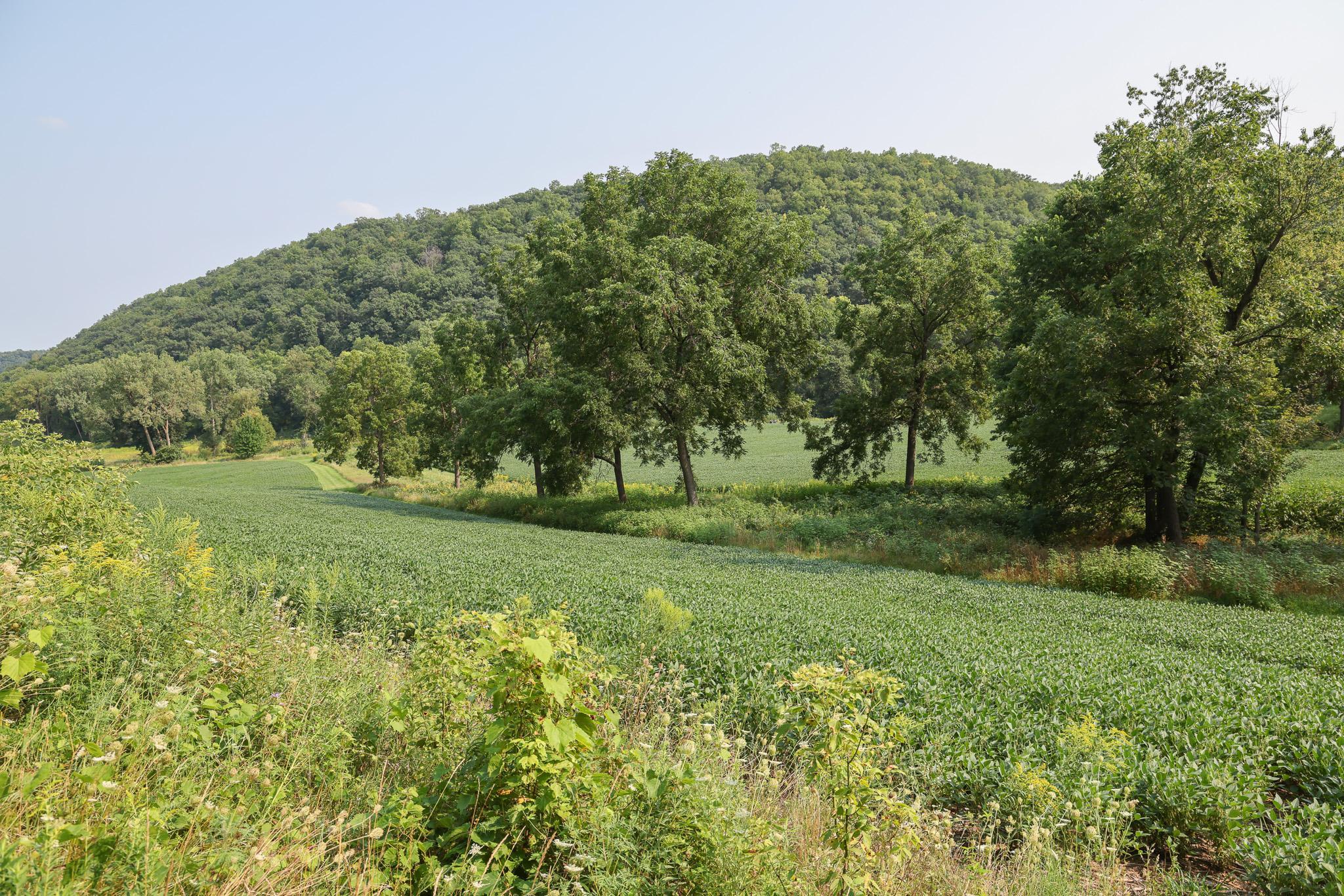 17674 County 11 Property Photo 19