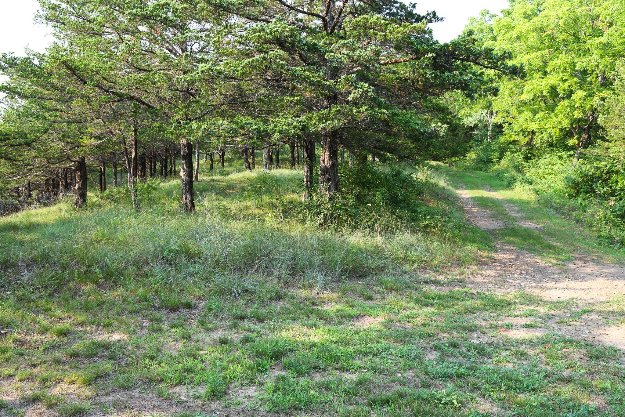17674 County 11 Property Photo 50