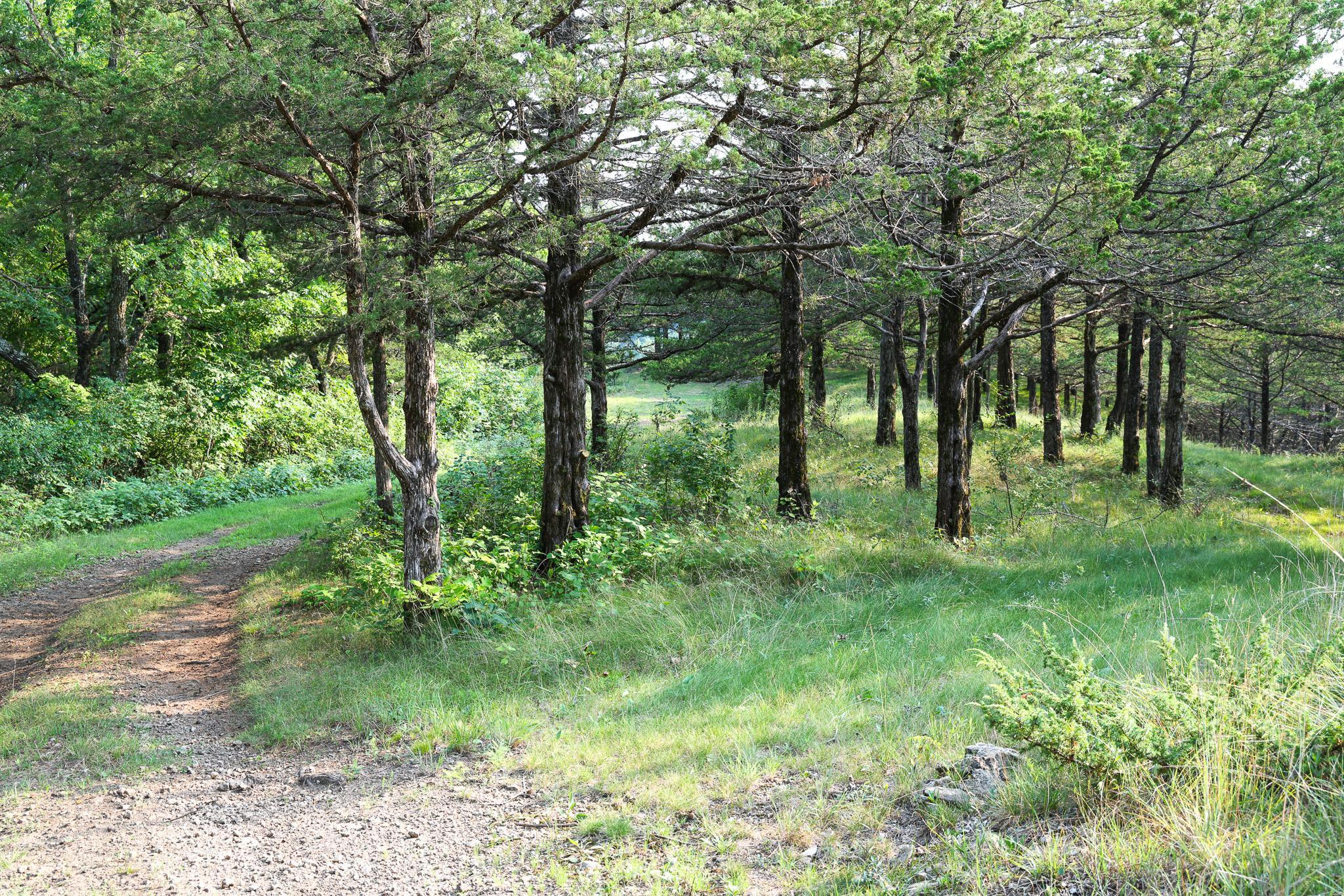 17674 County 11 Property Photo 51