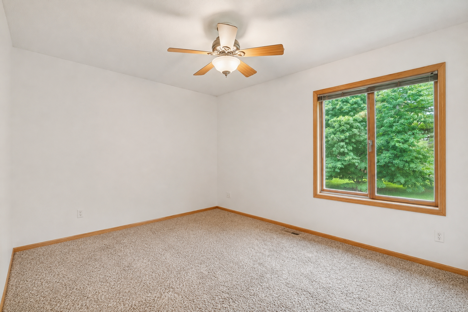 14901 Williston Lane Property Photo 18