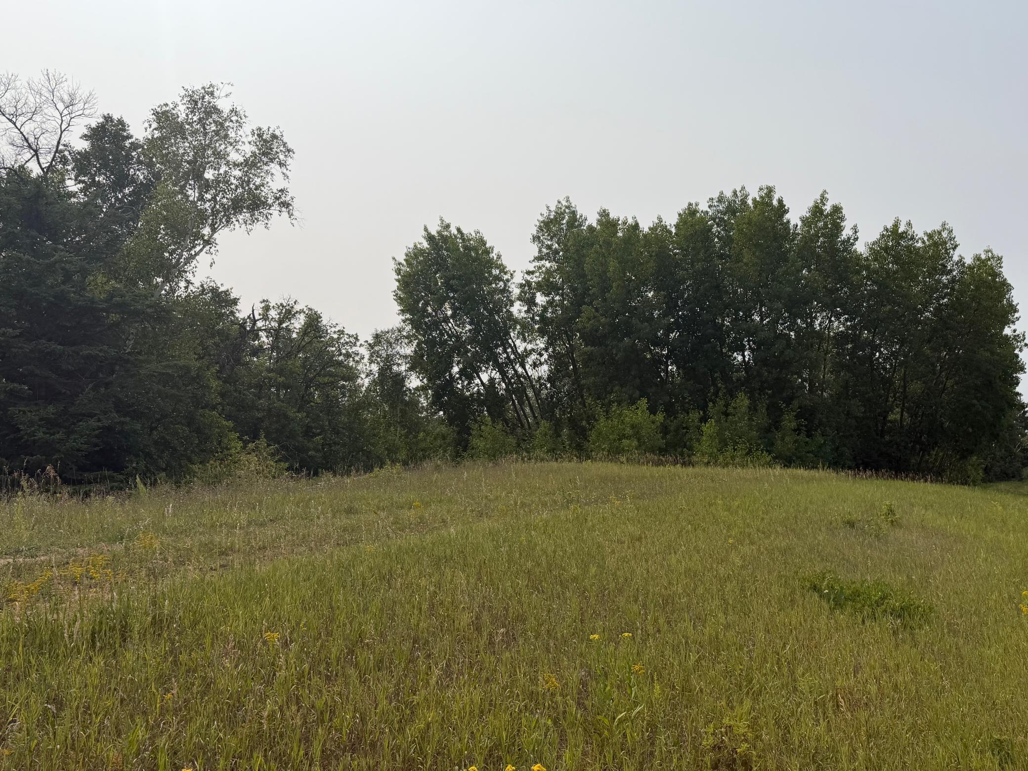 Tbd Del's Ct Ne Property Photo 2