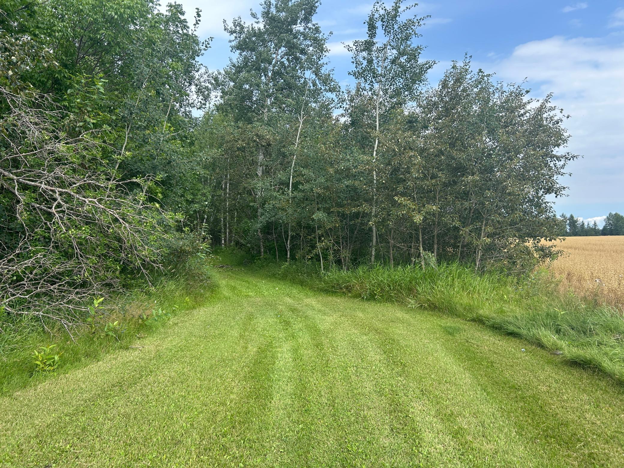 10241 230th Avenue Property Photo 7