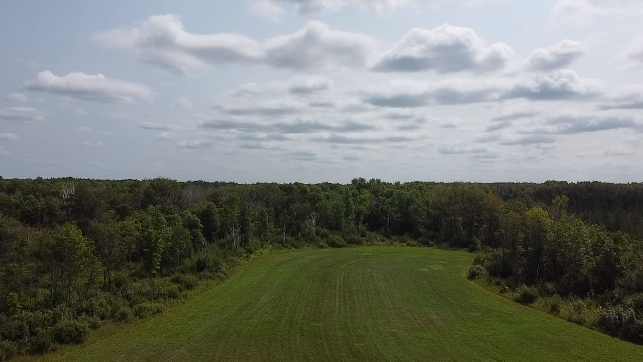 38880 Kestrel Avenue Property Photo 3
