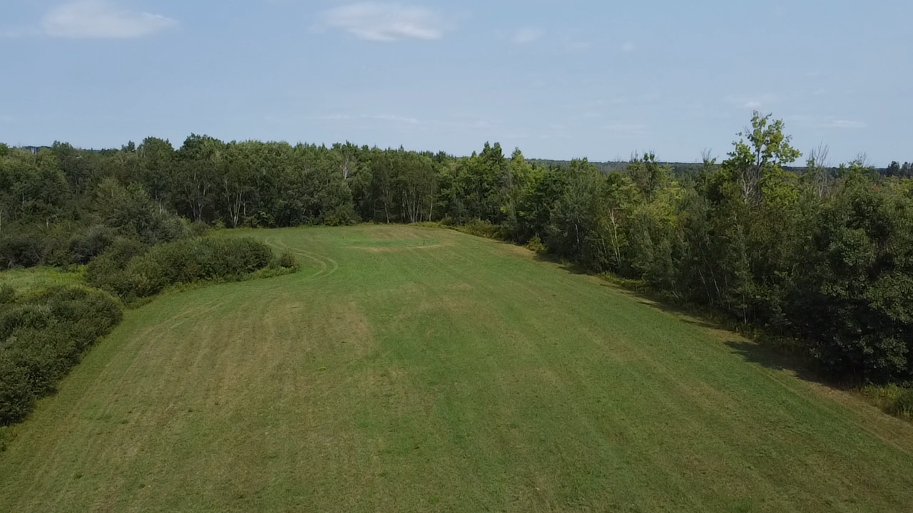 38880 Kestrel Avenue Property Photo 4