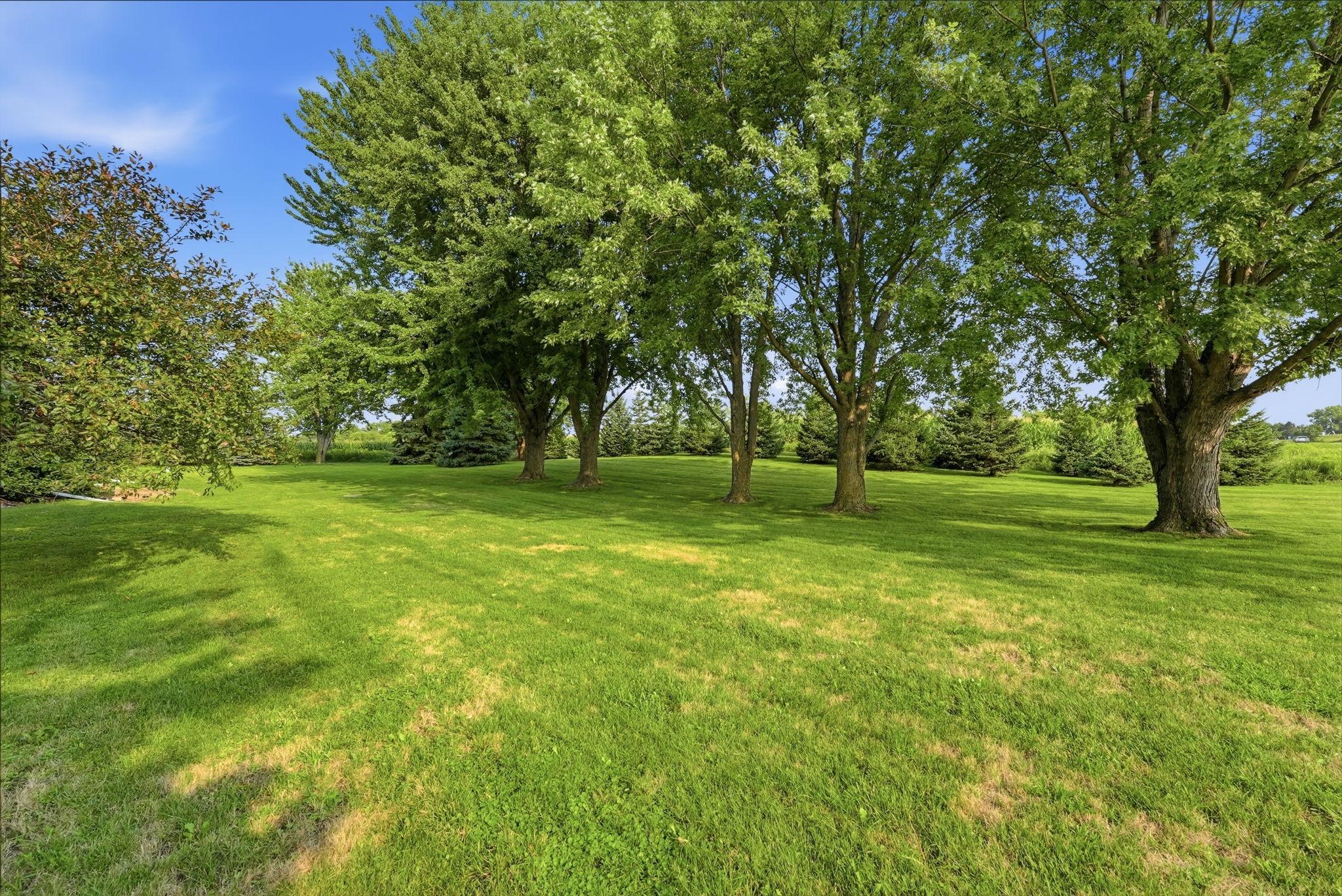 7520 County Road 9 Ne Property Photo 5