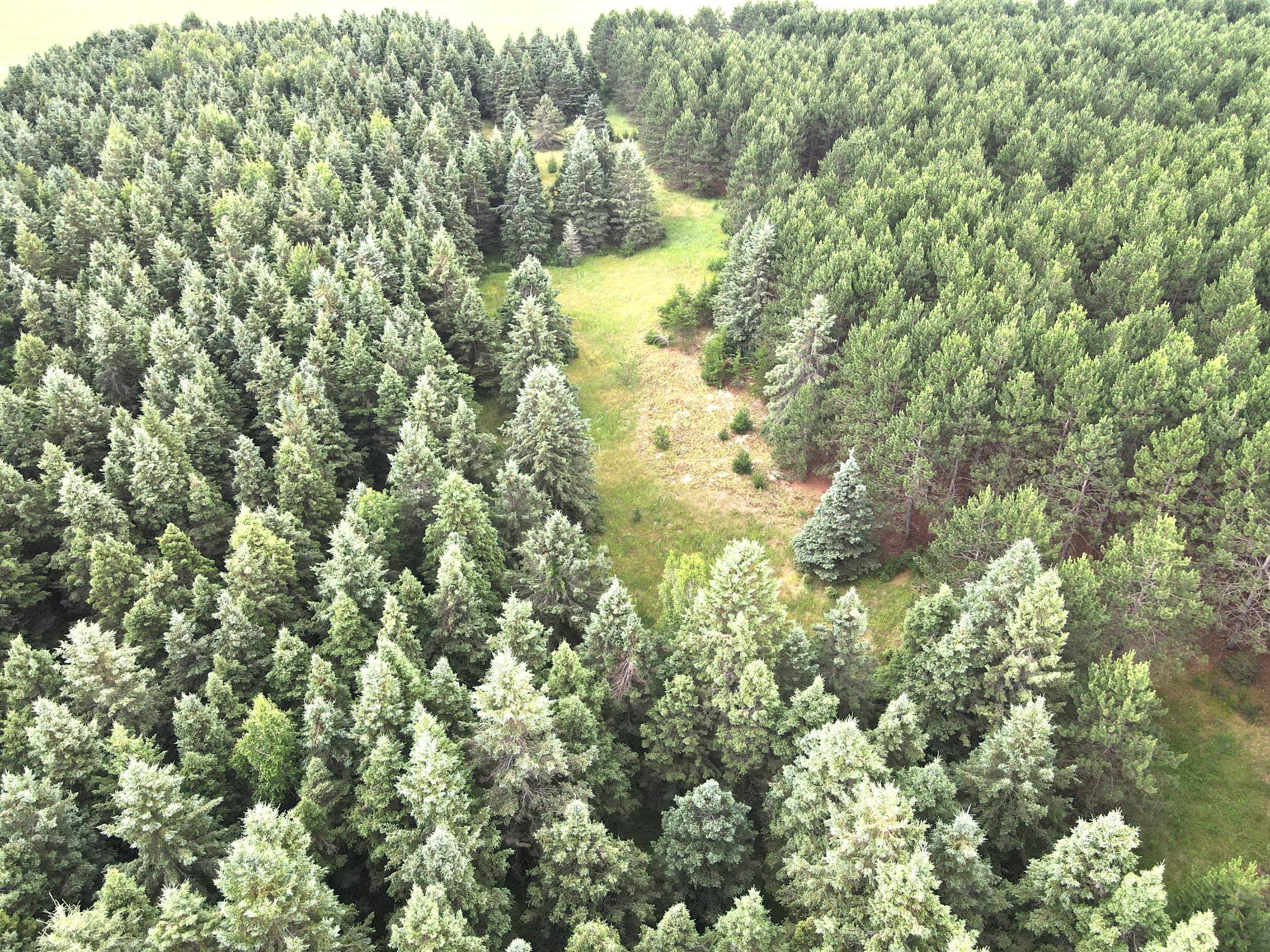 Tbd- Parcel C Sleepy Hollow Road Property Photo 1