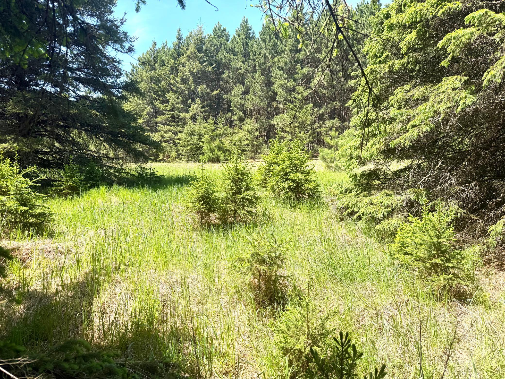 Tbd- Parcel C Sleepy Hollow Road Property Photo 3