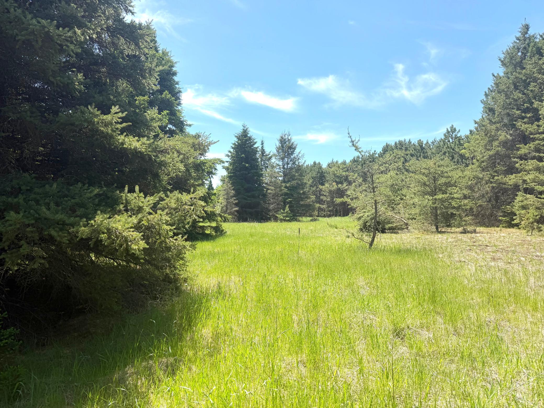Tbd- Parcel C Sleepy Hollow Road Property Photo 4