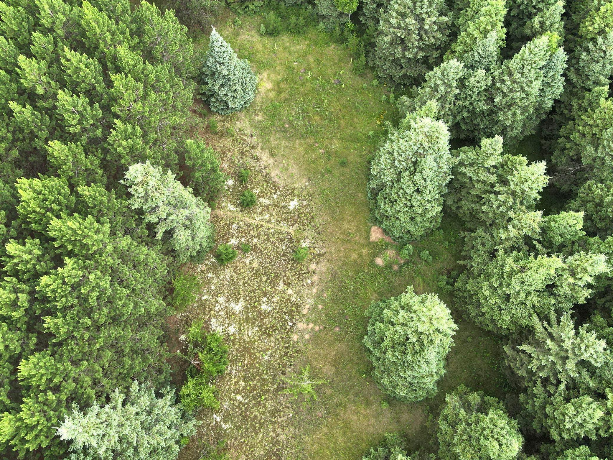 Tbd- Parcel C Sleepy Hollow Road Property Photo 5