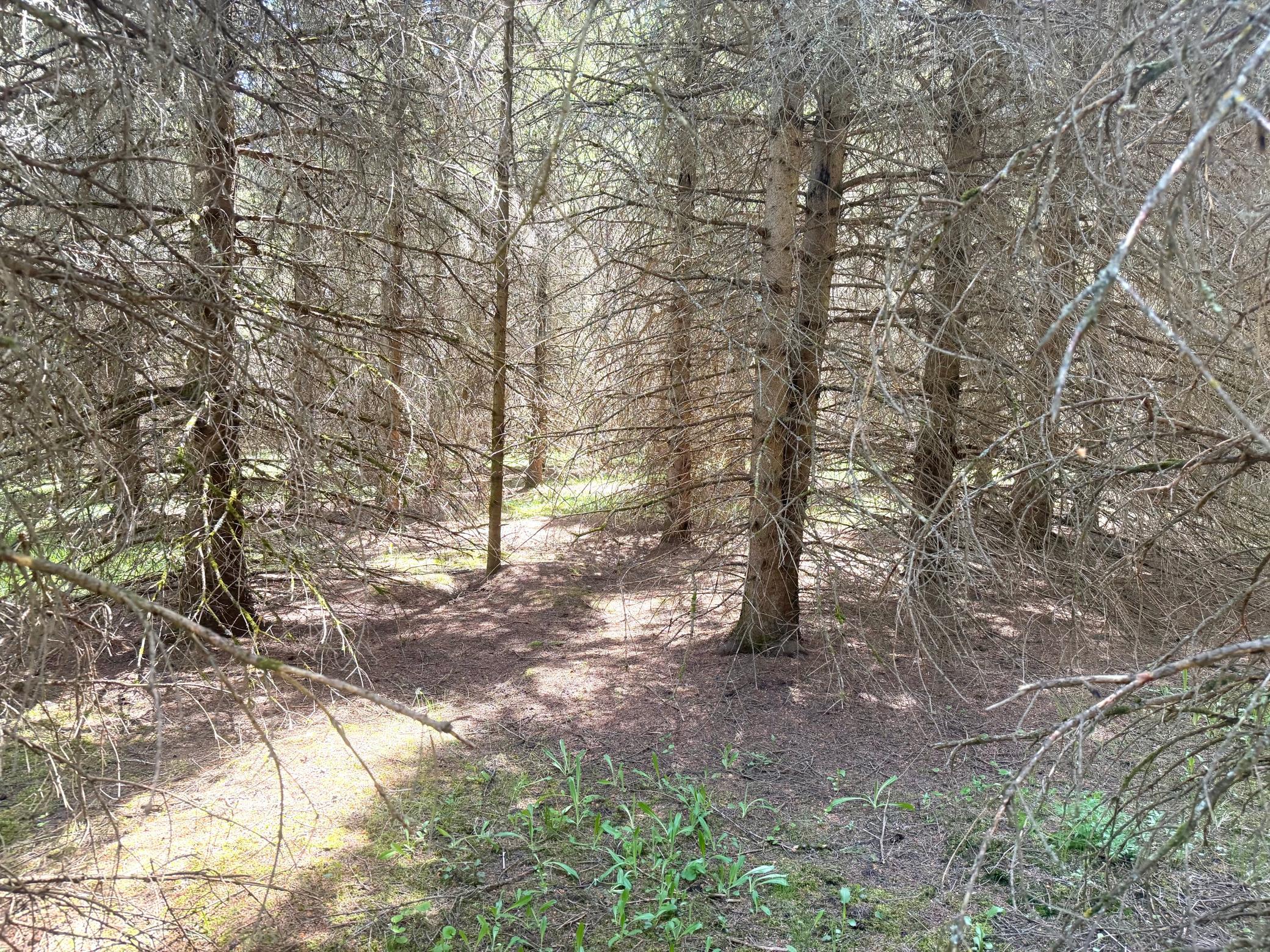 Tbd- Parcel D Sleepy Hollow Road Property Photo 3