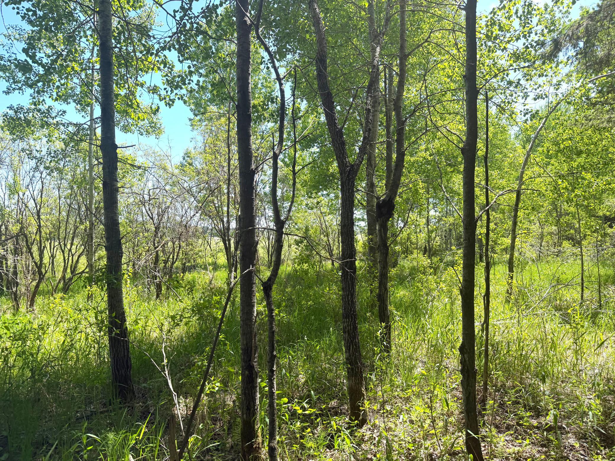 Tbd- Parcel D Sleepy Hollow Road Property Photo 5