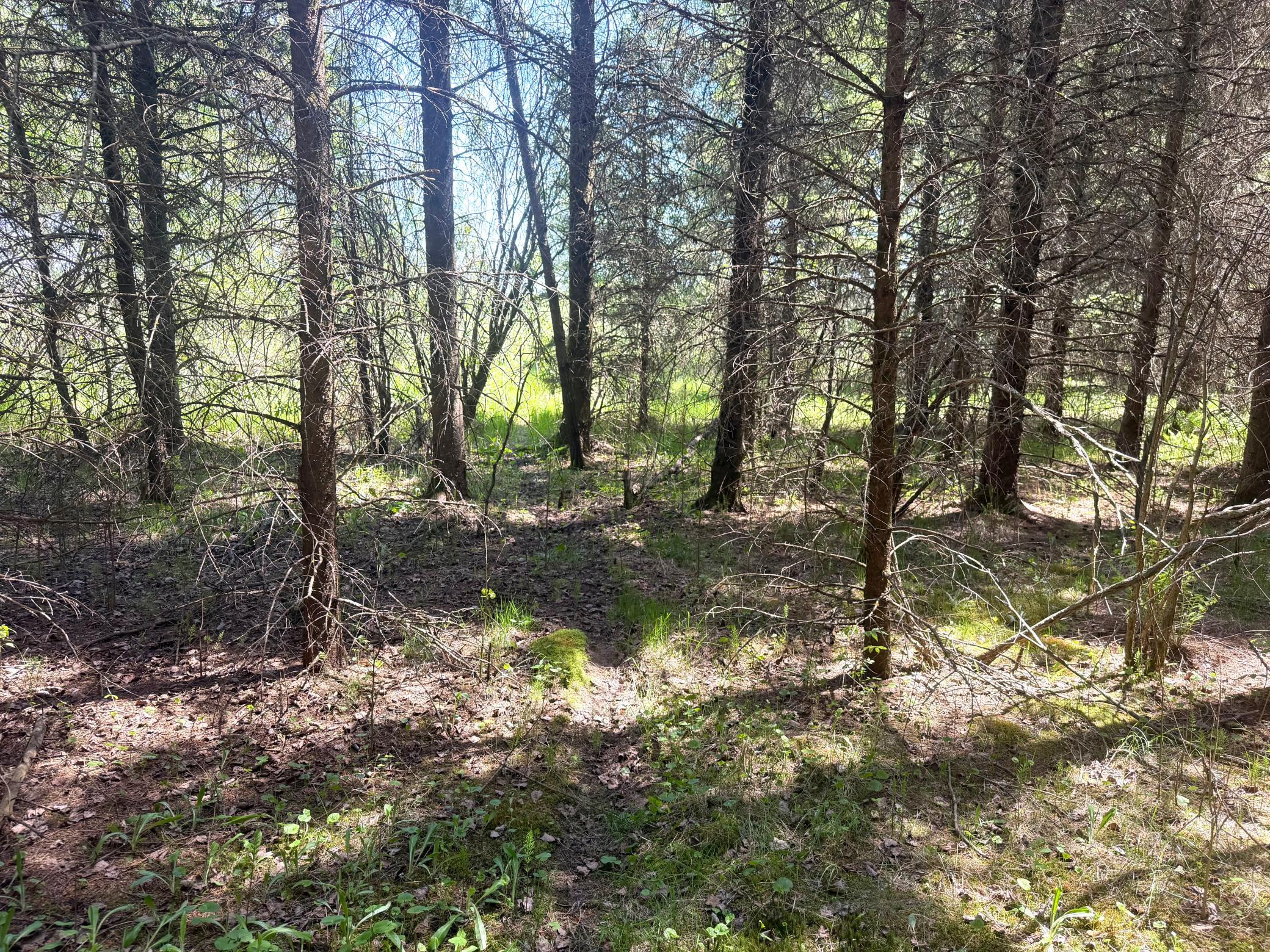 Tbd- Parcel D Sleepy Hollow Road Property Photo 6