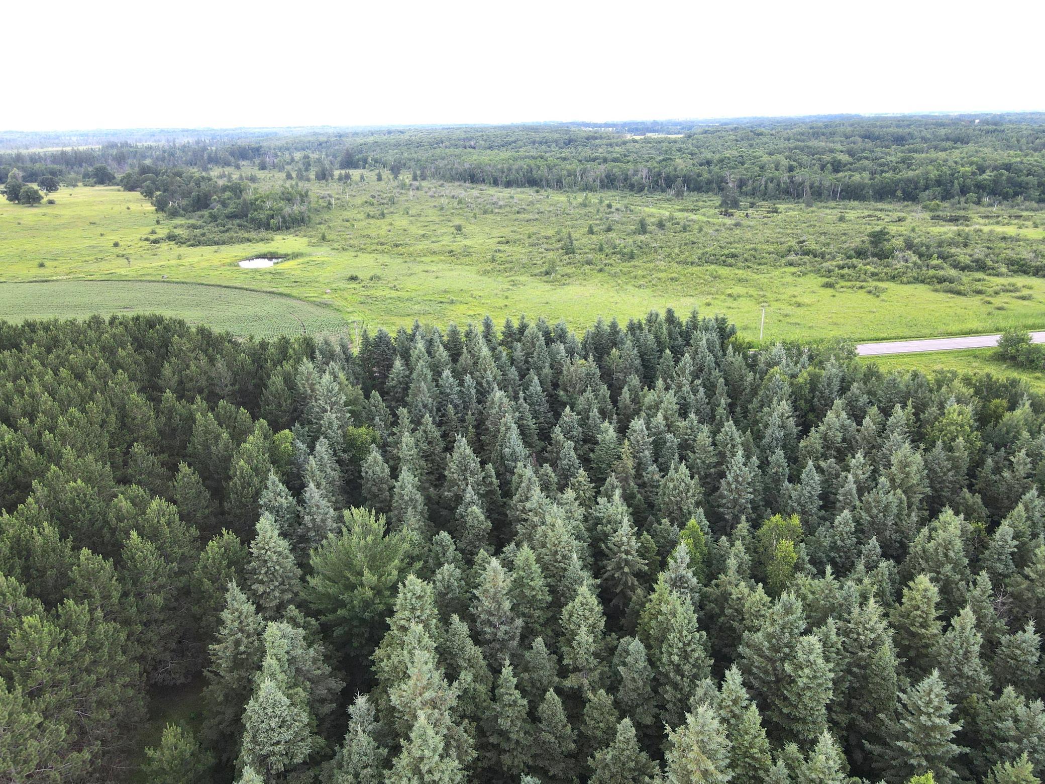 Tbd- Parcel D Sleepy Hollow Road Property Photo 8